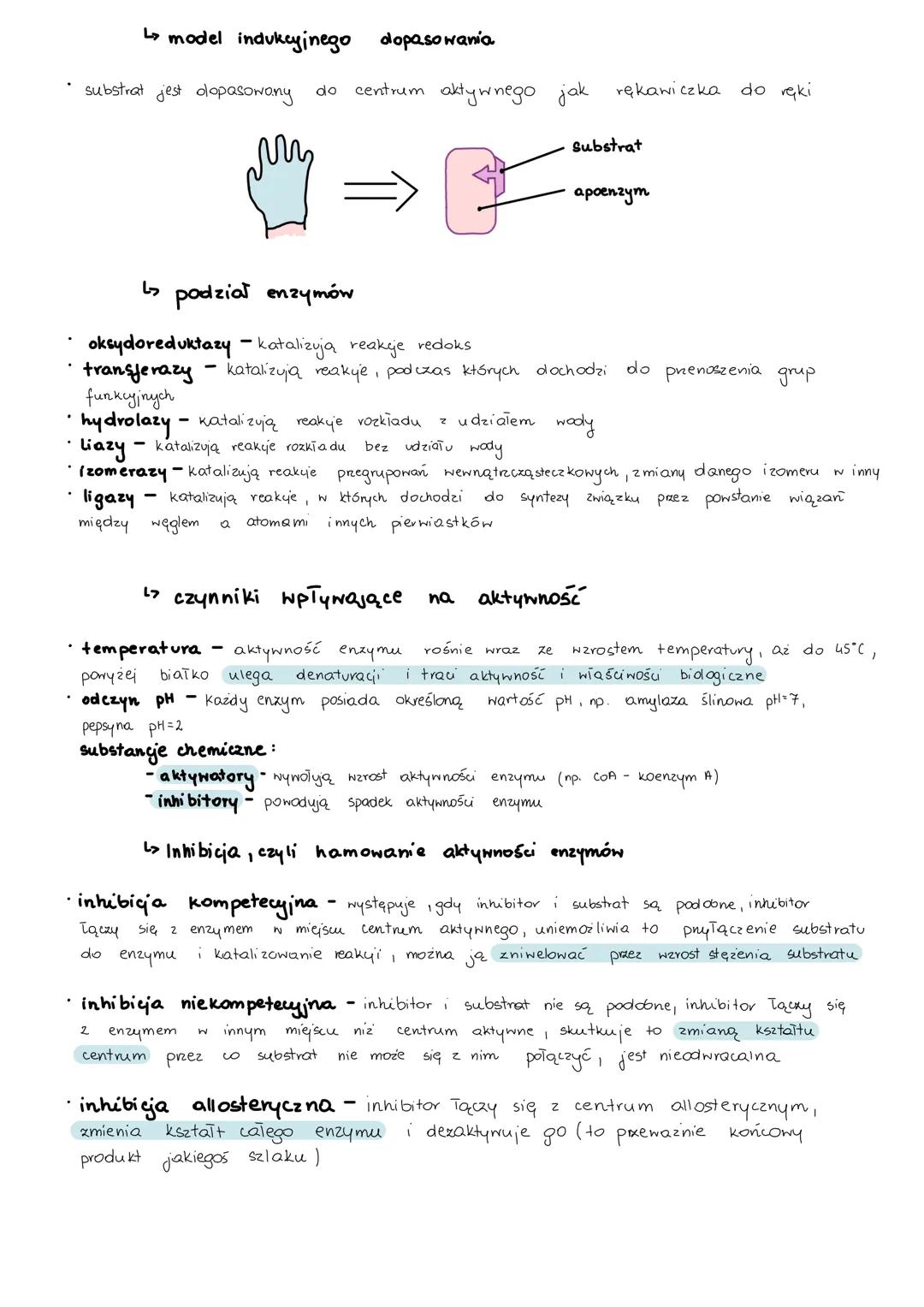 meluboligm
L> anabolizm i Katabolizm
-
• anabolizm
procesy syntezy mniejszych cząsteczek w większe, wymaga dostarczenia energii,
są więc end