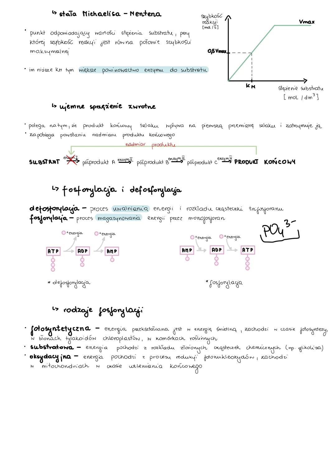 meluboligm
L> anabolizm i Katabolizm
-
• anabolizm
procesy syntezy mniejszych cząsteczek w większe, wymaga dostarczenia energii,
są więc end