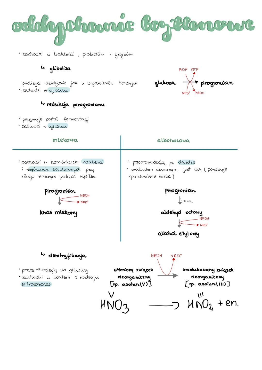 meluboligm
L> anabolizm i Katabolizm
-
• anabolizm
procesy syntezy mniejszych cząsteczek w większe, wymaga dostarczenia energii,
są więc end