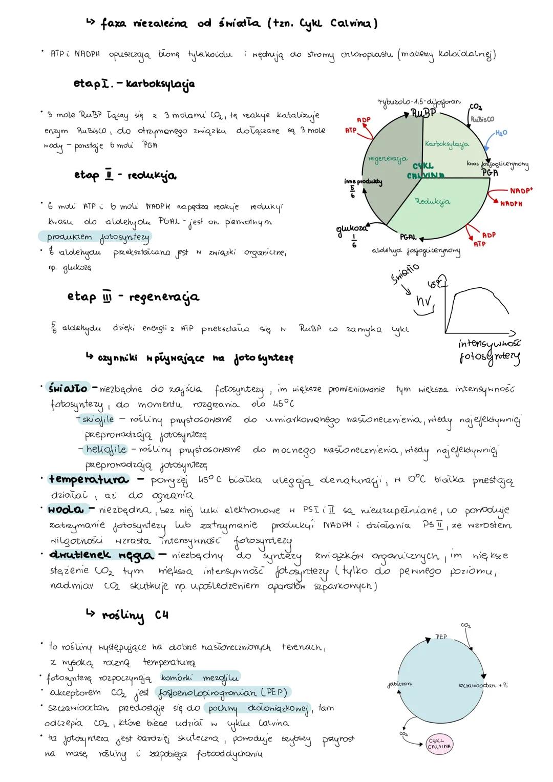 meluboligm
L> anabolizm i Katabolizm
-
• anabolizm
procesy syntezy mniejszych cząsteczek w większe, wymaga dostarczenia energii,
są więc end