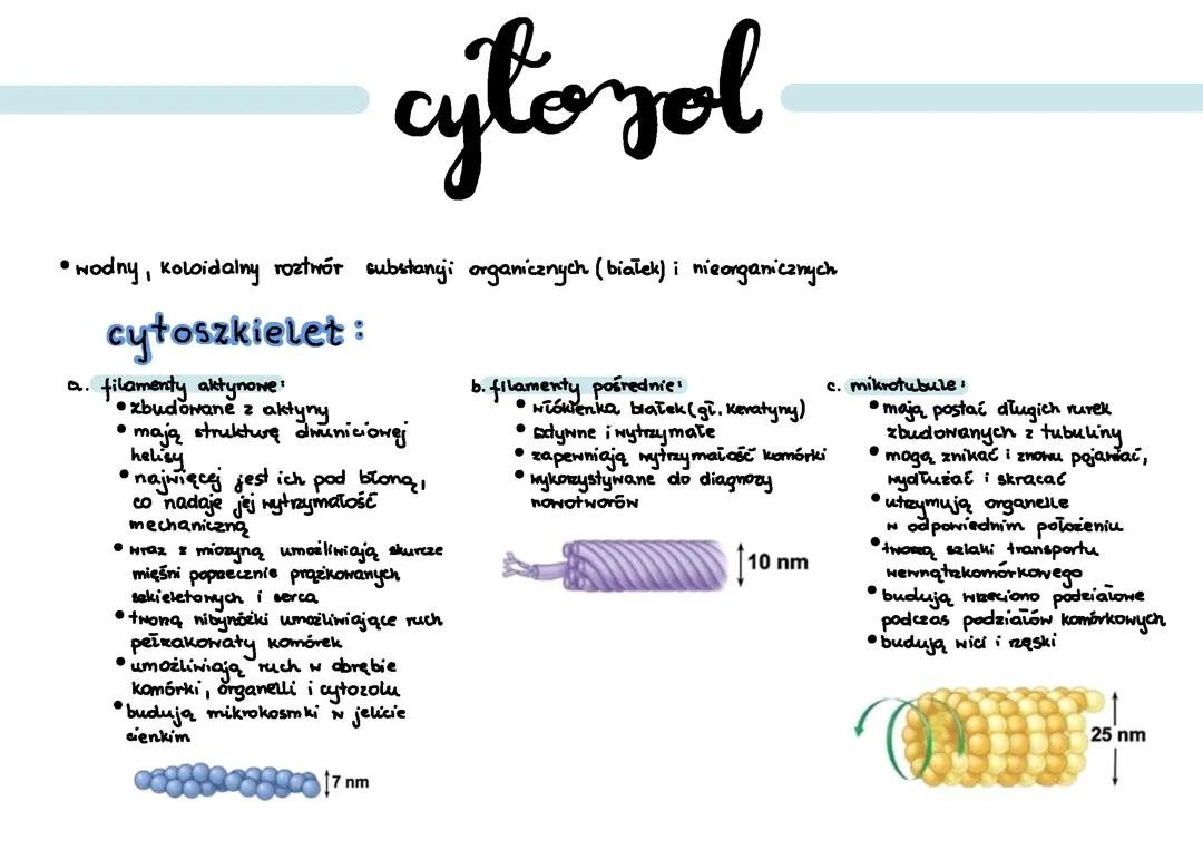 Organelle komórkowe