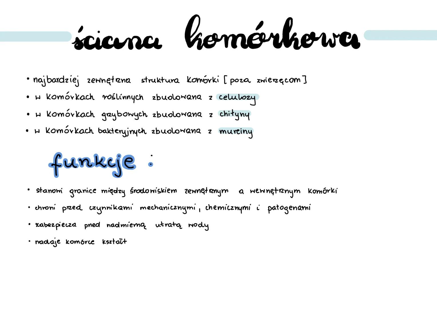 .
cytoyol
wodny, koloidalny roztwór substancji organicznych (białek) i nieorganicznych
a.
cytoszkielet:
... filamenty aktynowe:
• zbudowane