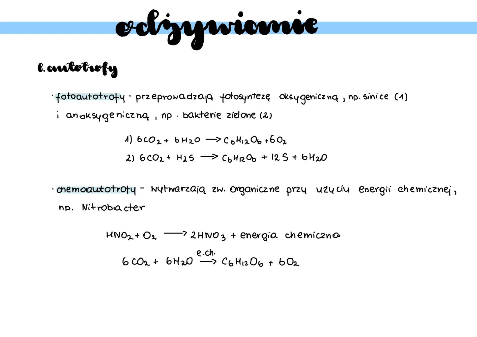 Boulangerie budowa
• nie mają jądra
• mają bionę komórkową - bariera ochronna
• mają sztywną ścianę komórkową - nadaje
kształt i zabezpiecz