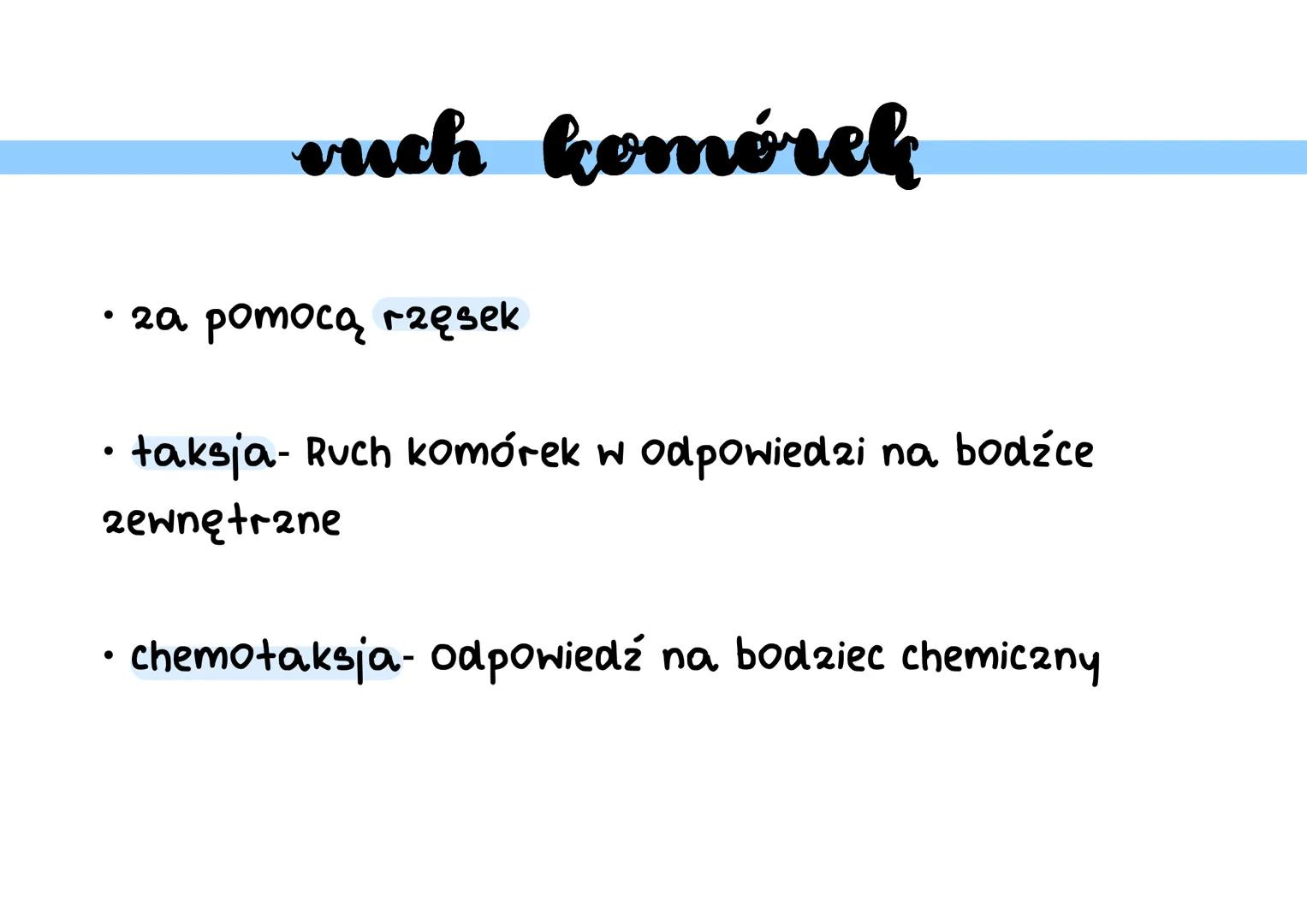 Boulangerie budowa
• nie mają jądra
• mają bionę komórkową - bariera ochronna
• mają sztywną ścianę komórkową - nadaje
kształt i zabezpiecz