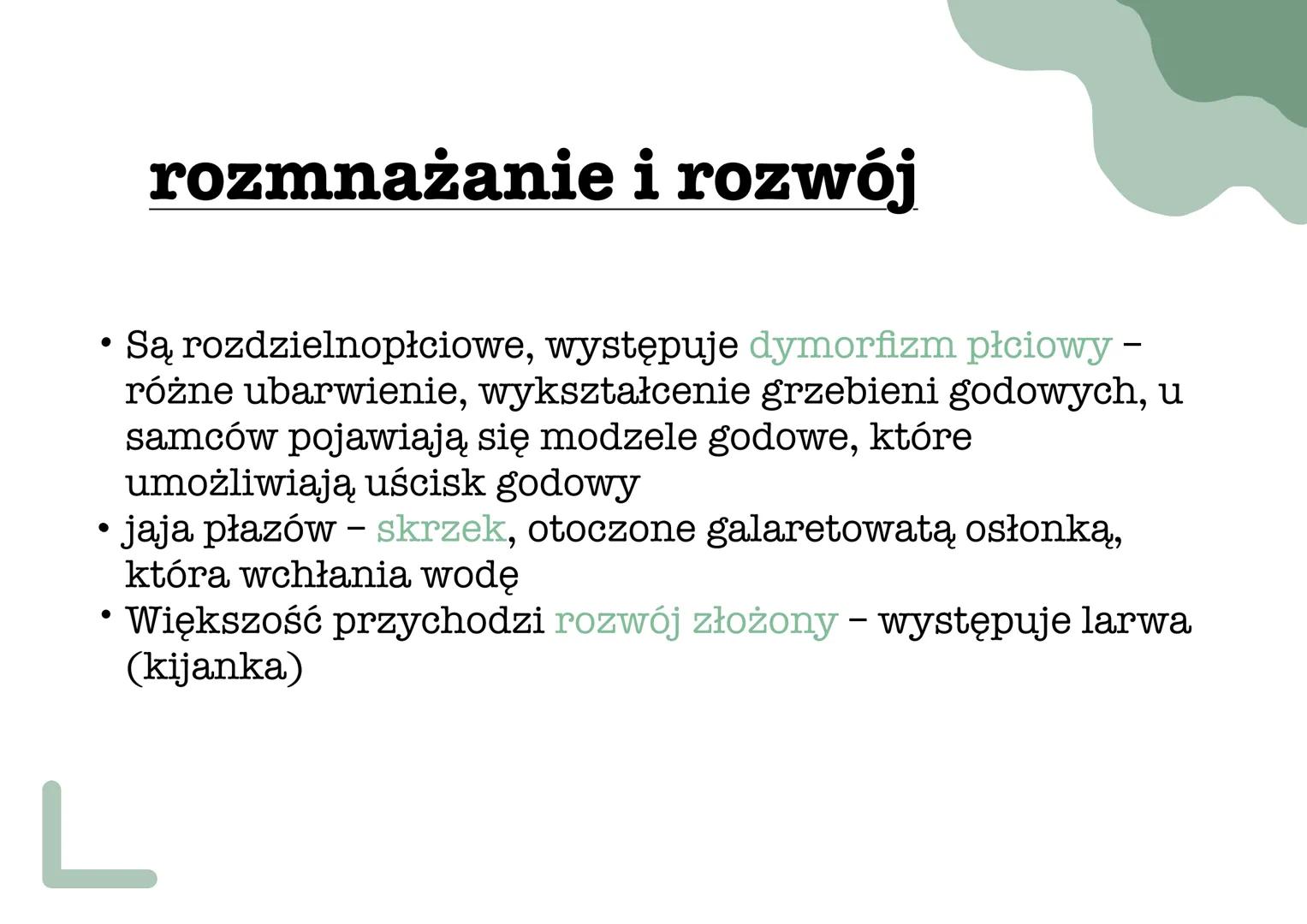 ך
୮
L
płazy pokrycie ciała
•
Ich skóra jest cienka, naga, pozbawiona tworów ochronnych
i nieustannie nawilżana wydzieliną znajdujących się w