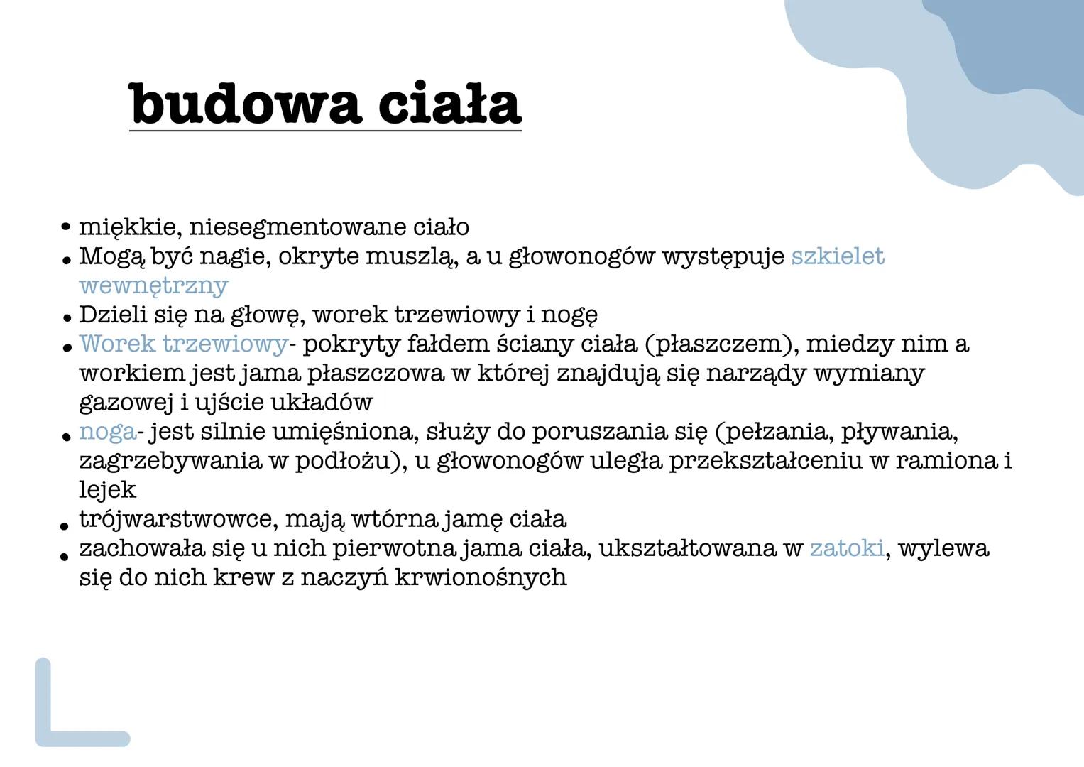 mięczaki •
Stan anabiozy - umożliwia
przetrwanie w środowisku
lądowym podczas suszy, zwierzę
wciąga ciało do muszli i zakrywa
jej ujście war