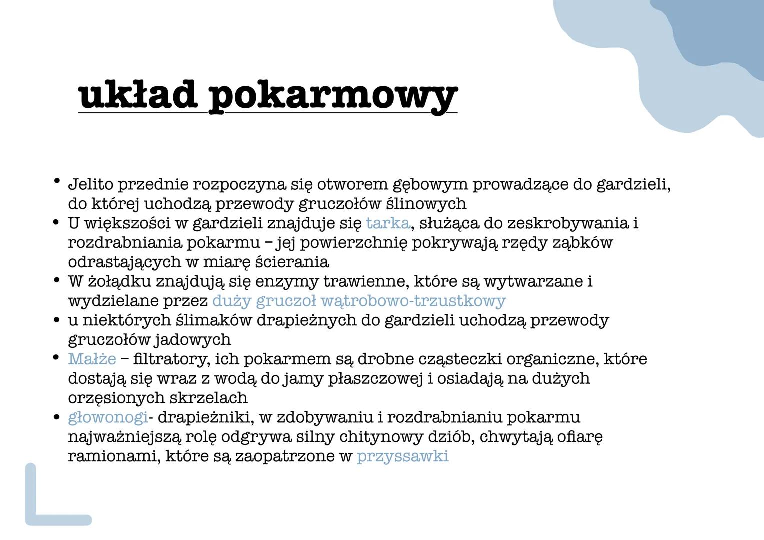 mięczaki •
Stan anabiozy - umożliwia
przetrwanie w środowisku
lądowym podczas suszy, zwierzę
wciąga ciało do muszli i zakrywa
jej ujście war