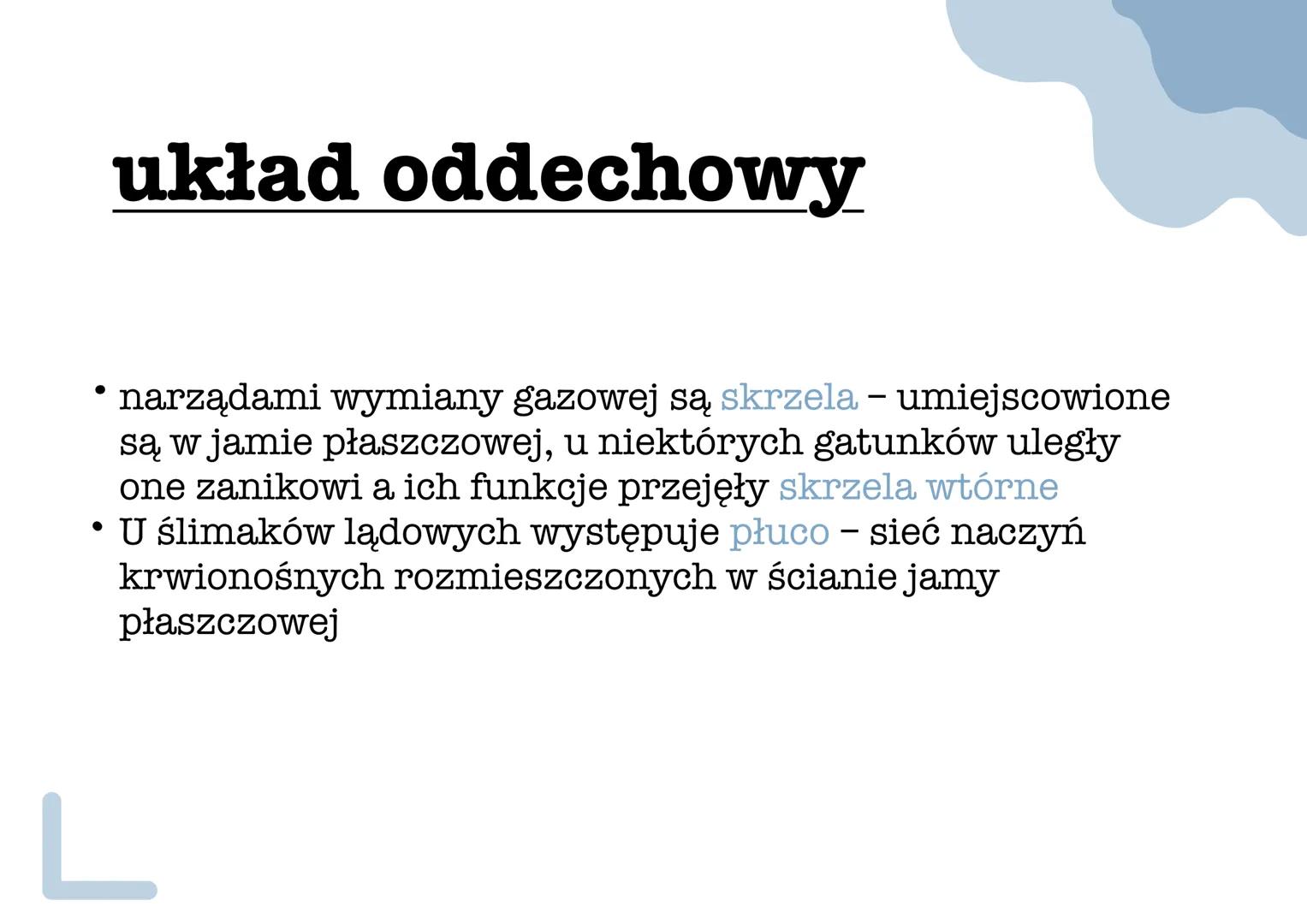 mięczaki •
Stan anabiozy - umożliwia
przetrwanie w środowisku
lądowym podczas suszy, zwierzę
wciąga ciało do muszli i zakrywa
jej ujście war