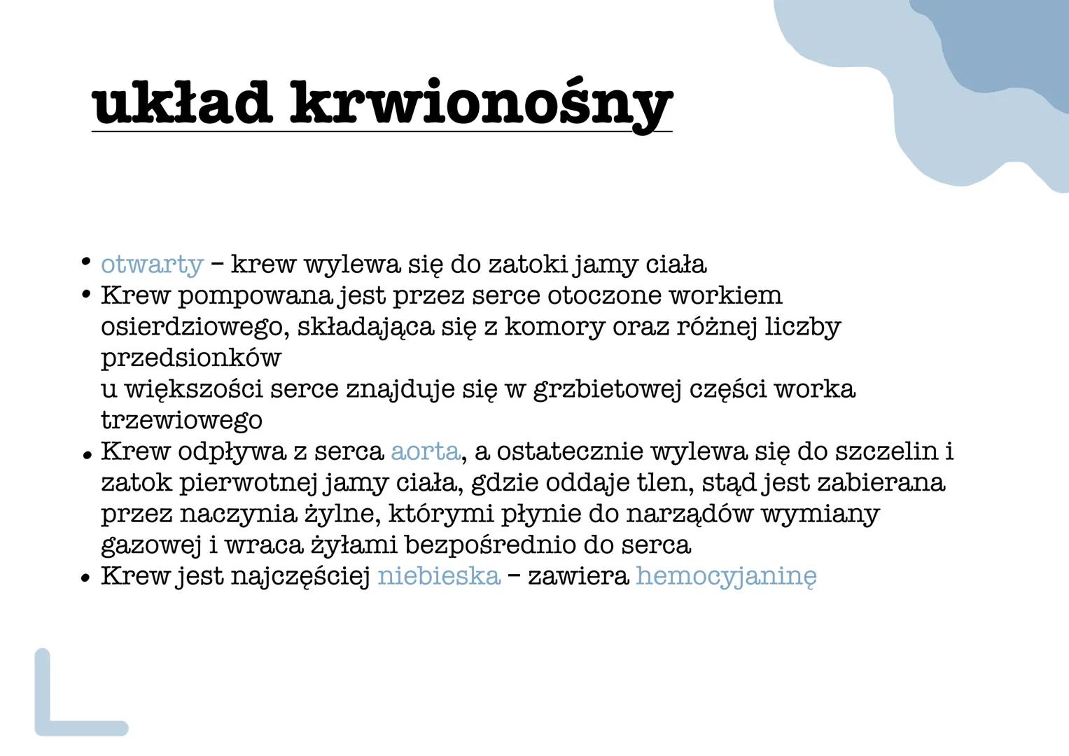 mięczaki •
Stan anabiozy - umożliwia
przetrwanie w środowisku
lądowym podczas suszy, zwierzę
wciąga ciało do muszli i zakrywa
jej ujście war