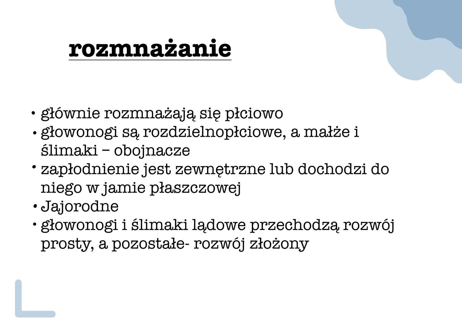 mięczaki •
Stan anabiozy - umożliwia
przetrwanie w środowisku
lądowym podczas suszy, zwierzę
wciąga ciało do muszli i zakrywa
jej ujście war