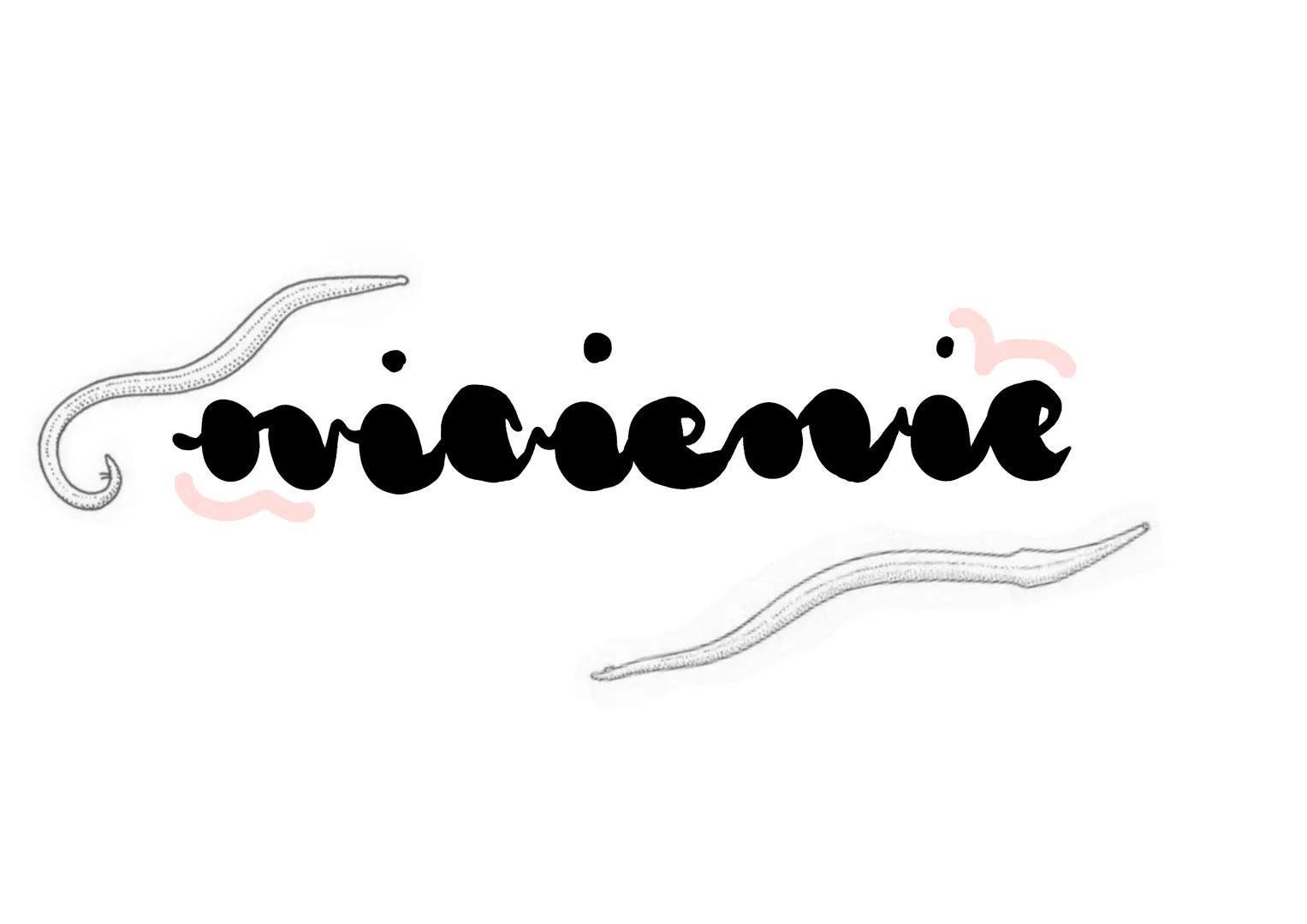 oviciemie # cechy
↳ mają wydłużone, obte i zwężone na obu końcach cia To
> cechują się symetria dwuboczną
› nie mają odnóży, wici ani rzę