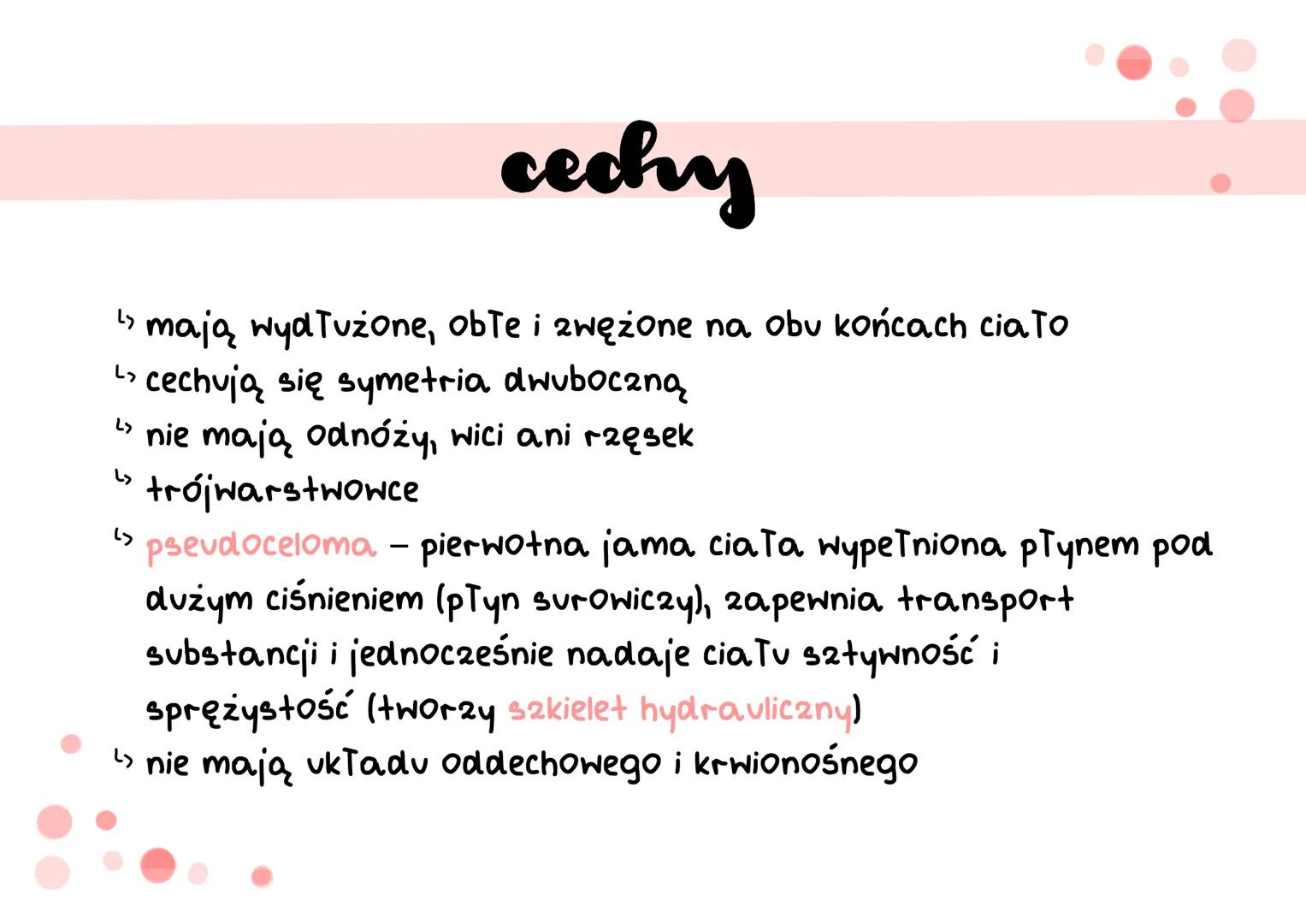 oviciemie # cechy
↳ mają wydłużone, obte i zwężone na obu końcach cia To
> cechują się symetria dwuboczną
› nie mają odnóży, wici ani rzę