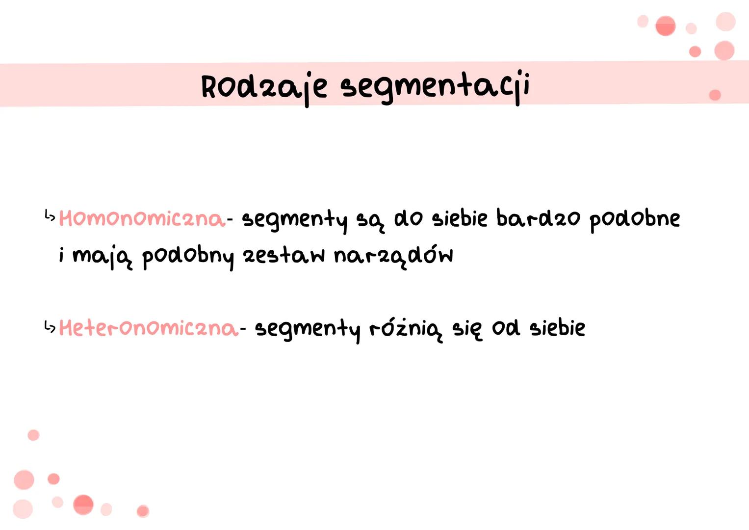 siodełko
pierścienie
pierścienice
S cechy
دیا
Segmentacja ciała (metameria)- podział ciała na odcinki, które
są ułożone jeden za drugim i od