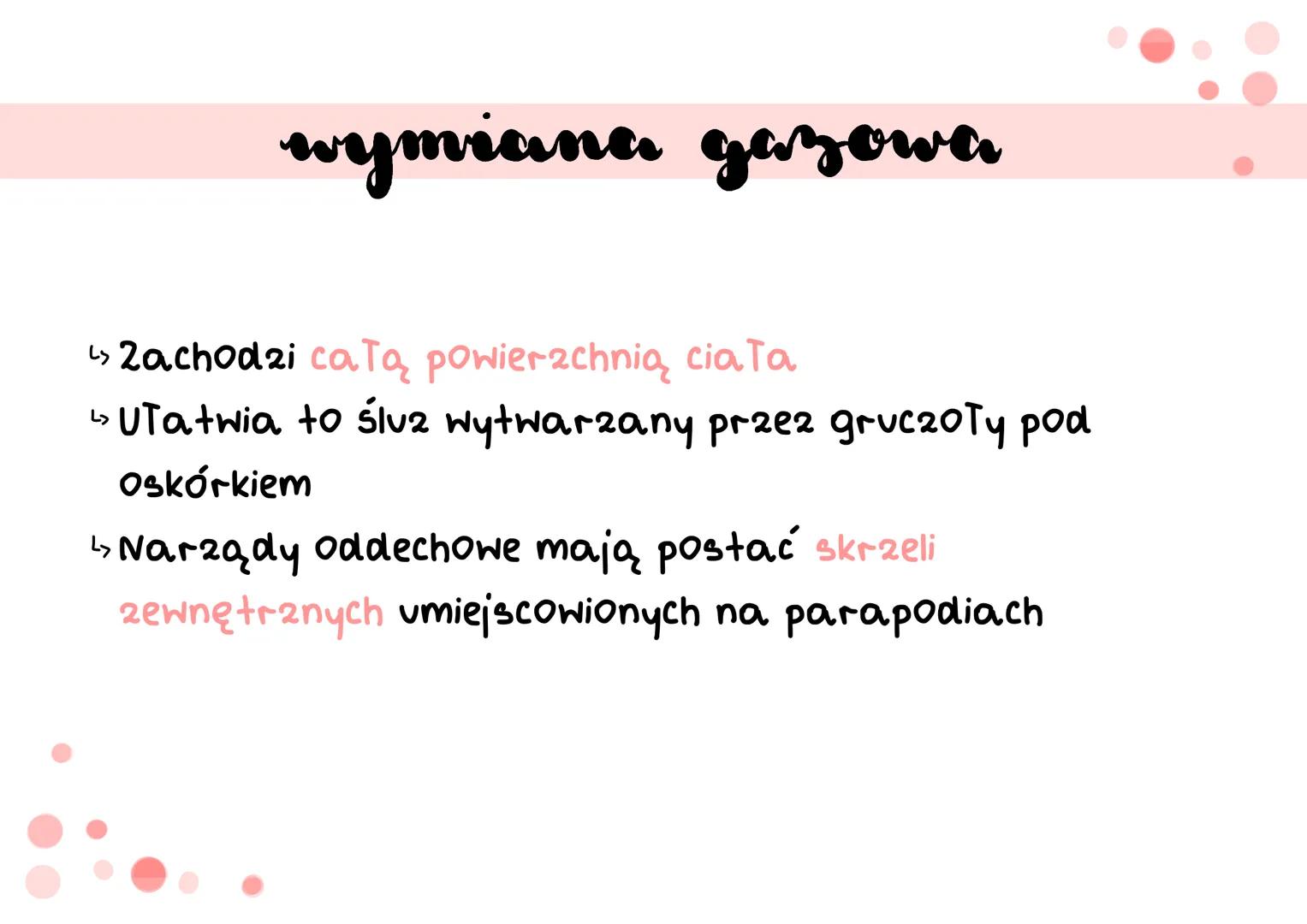 siodełko
pierścienie
pierścienice
S cechy
دیا
Segmentacja ciała (metameria)- podział ciała na odcinki, które
są ułożone jeden za drugim i od