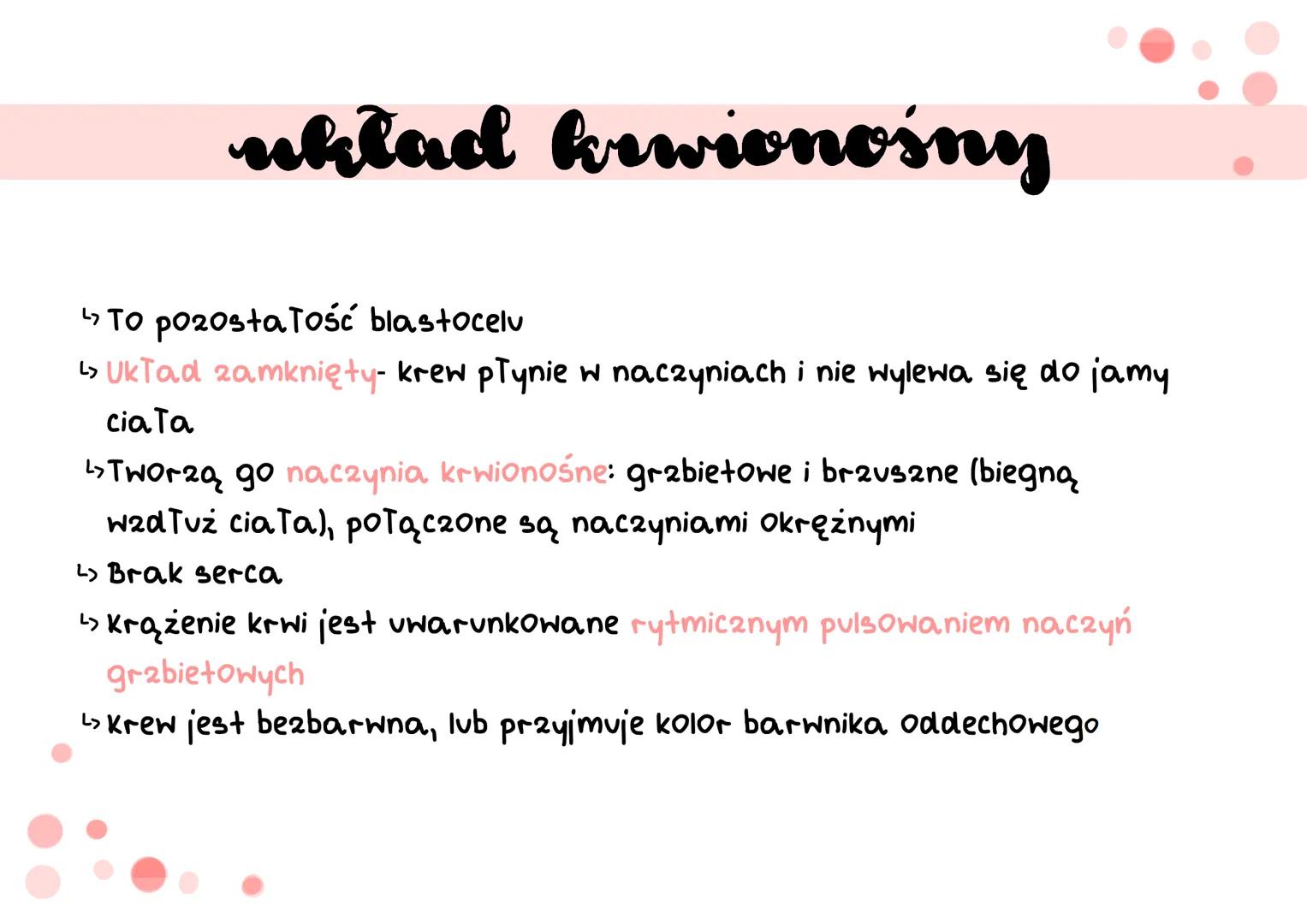 siodełko
pierścienie
pierścienice
S cechy
دیا
Segmentacja ciała (metameria)- podział ciała na odcinki, które
są ułożone jeden za drugim i od