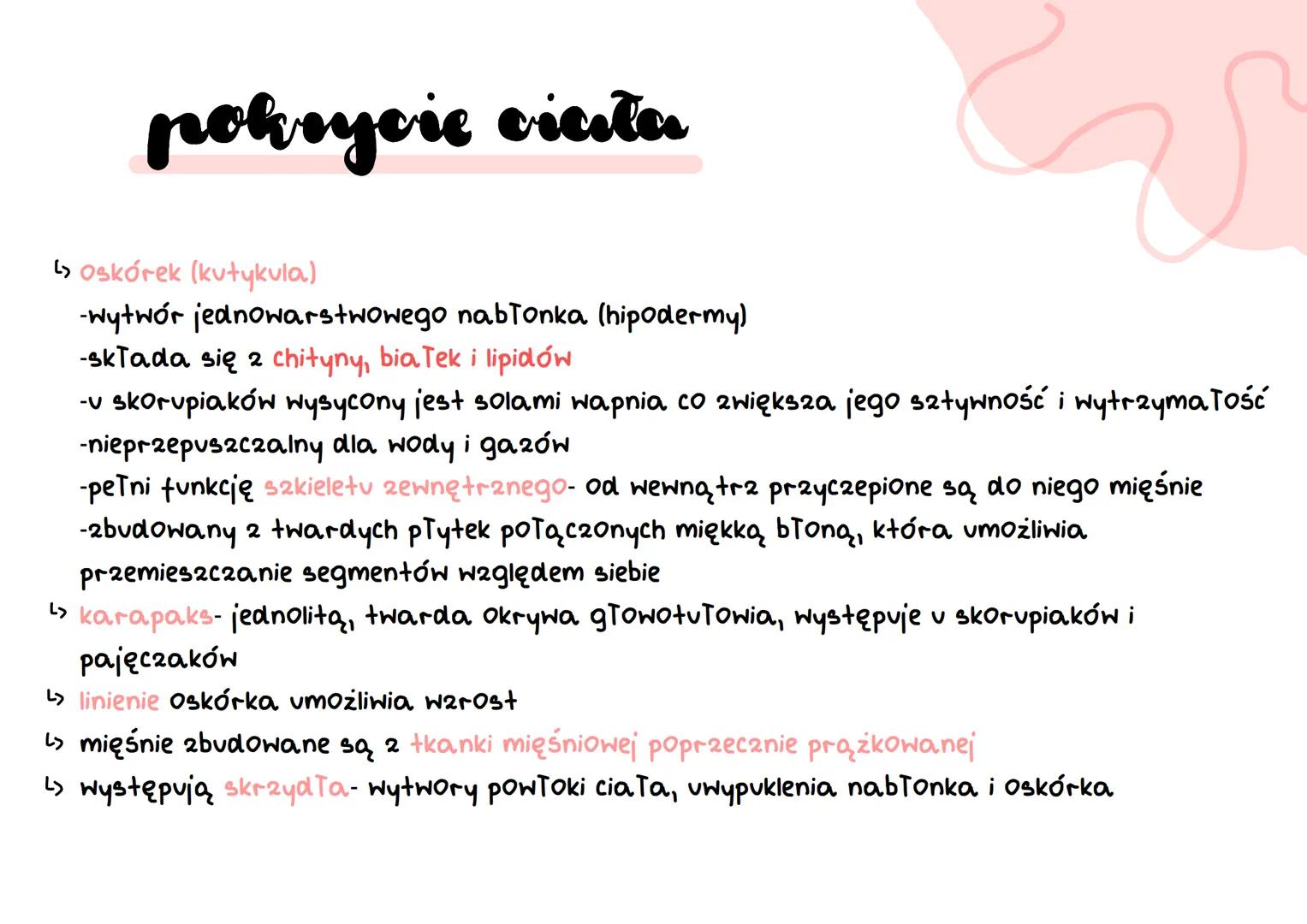 stawonogi
&
A
E
F skorupiaki
stawonogi
+chawkodyszne
scaekocaut ko pod ob ne
paje czaki
owady wije budowa
W
> ciało podzielone na segmenty-