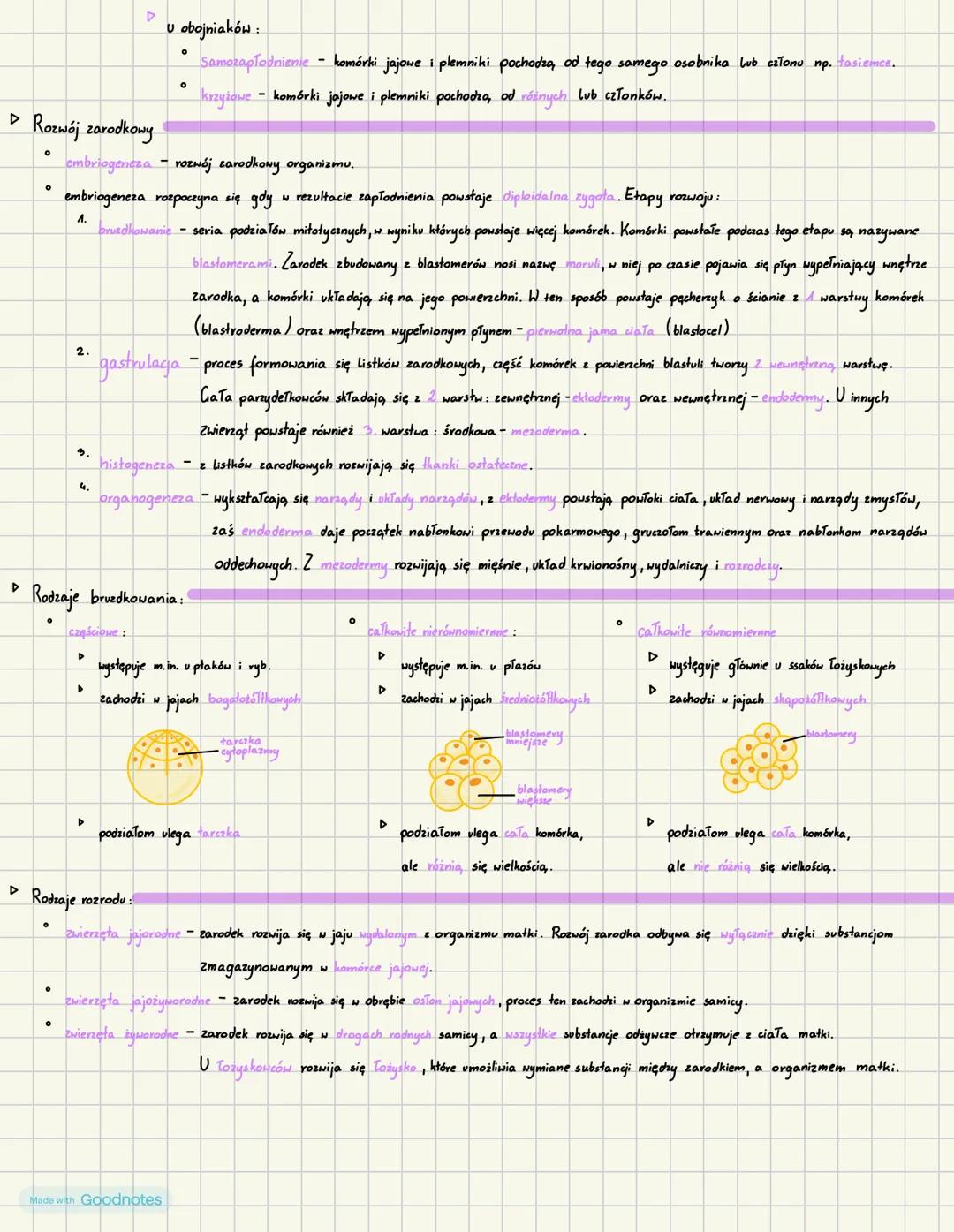 Made with Goodnotes Temat 11.1
Rozmnażanie i rozwój u
u zwierzął
D
vozmnażanie bezpłciowe:
°
Odbywa się bez udziału gamet. Nie dochodzi w ni