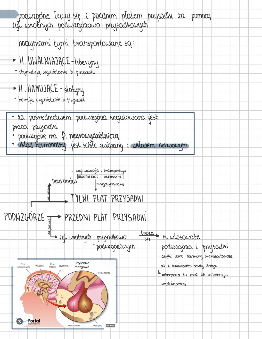 HORMONY
iStock
Credit: abstractdesignlabs
HORMONY PODWZGORZA
magazynowane i uwalniane prez
przysadke
- wazopresyna (ADH).
- reguluje gospoda