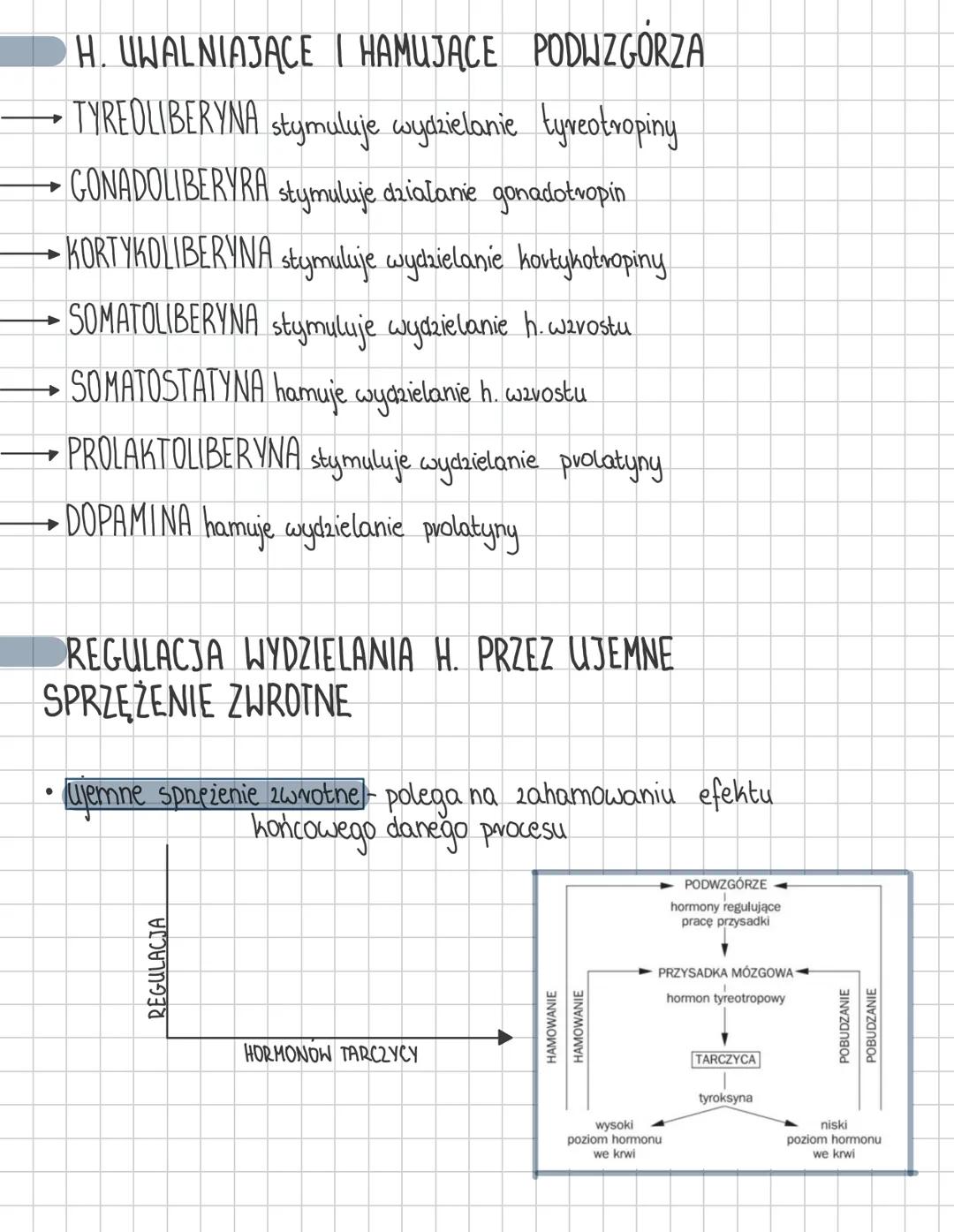 HORMONY
iStock
Credit: abstractdesignlabs
HORMONY PODWZGORZA
magazynowane i uwalniane prez
przysadke
- wazopresyna (ADH).
- reguluje gospoda