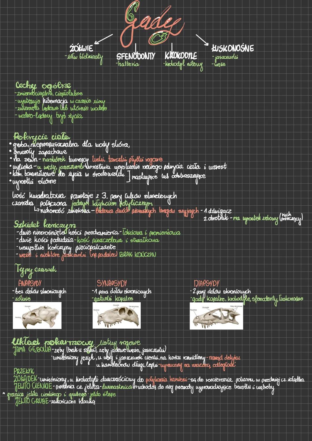 ZOKWIE
-żółw błotniasty
Cechy ogólne
-zmiennocieplne, ciepło lubre
-występuje hibernacja w czasie rimy
-zwierzęta ladowe lub utómie wodne
-