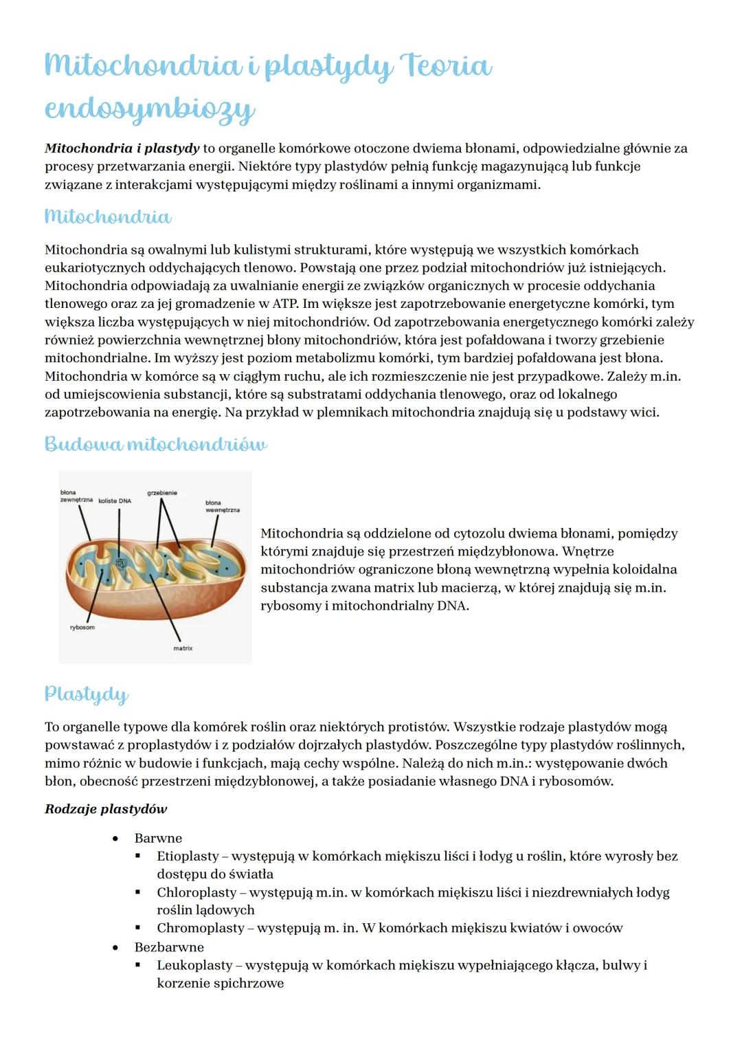 # Mitochondria i plastydy Teoria
endosymbiozy
Mitochondria i plastydy to organelle komórkowe otoczone dwiema błonami, odpowiedzialne główni