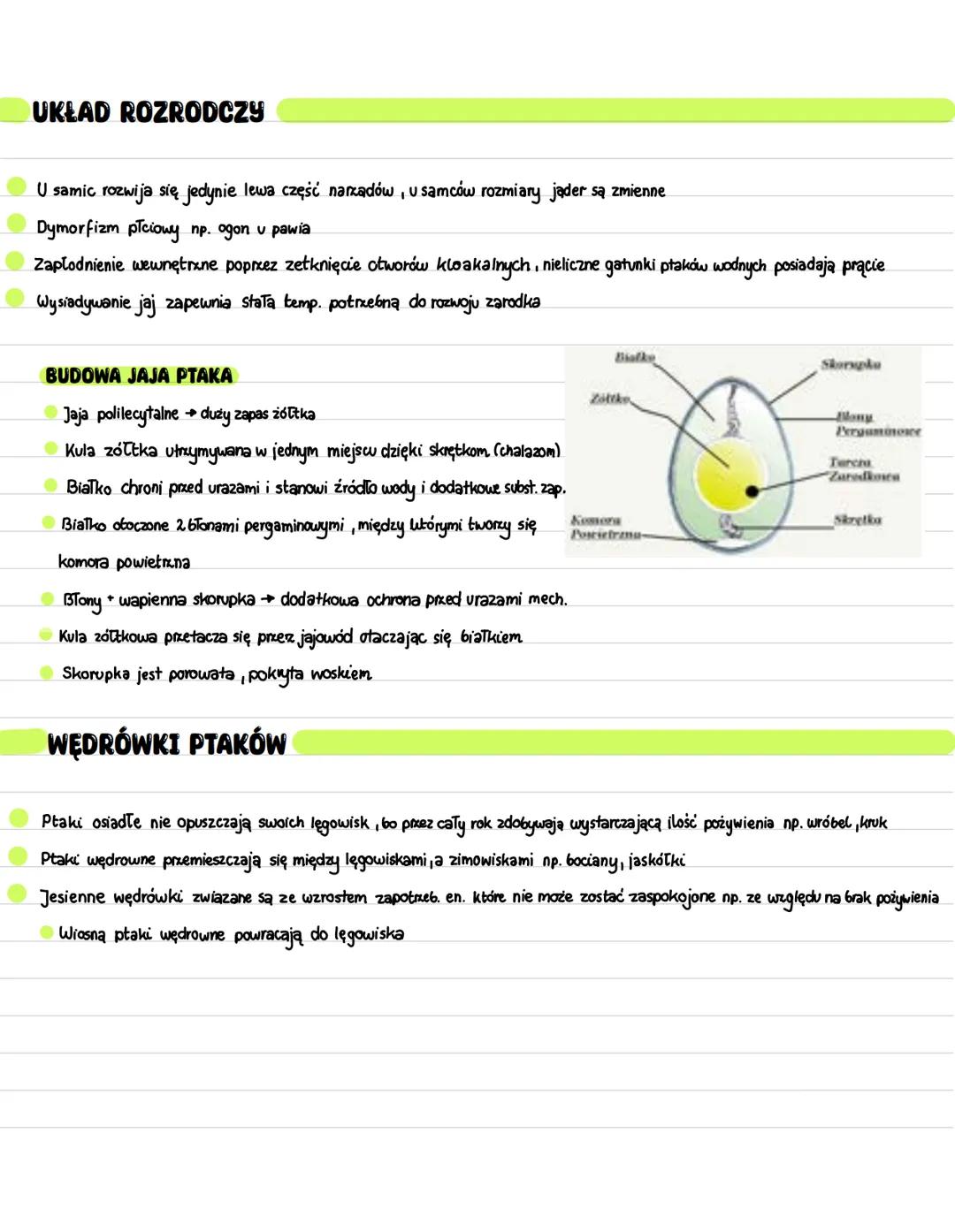 PTAKI
Zwierzęta stałocieplne o temp. ciała między 38-44°C
POKRYCIE CIAŁA
Skóra cienka, jedynym gruczołem gruczoł kuprowy
་
Gruczoł kuprowy w