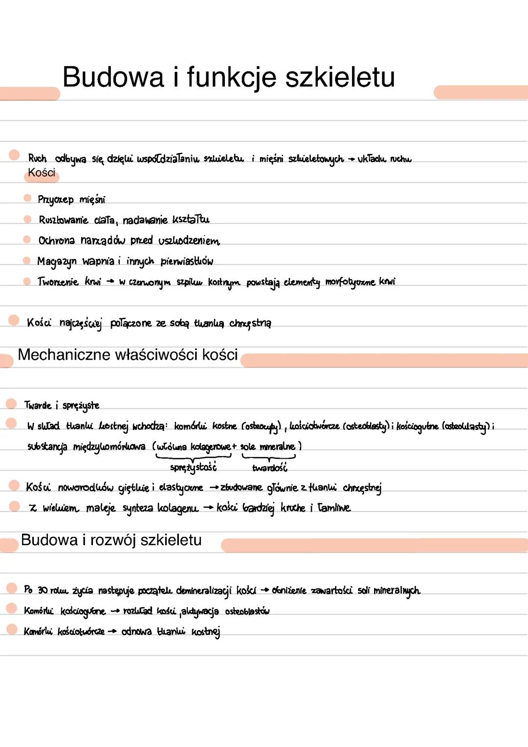 Budowa i funkcje szkieletu