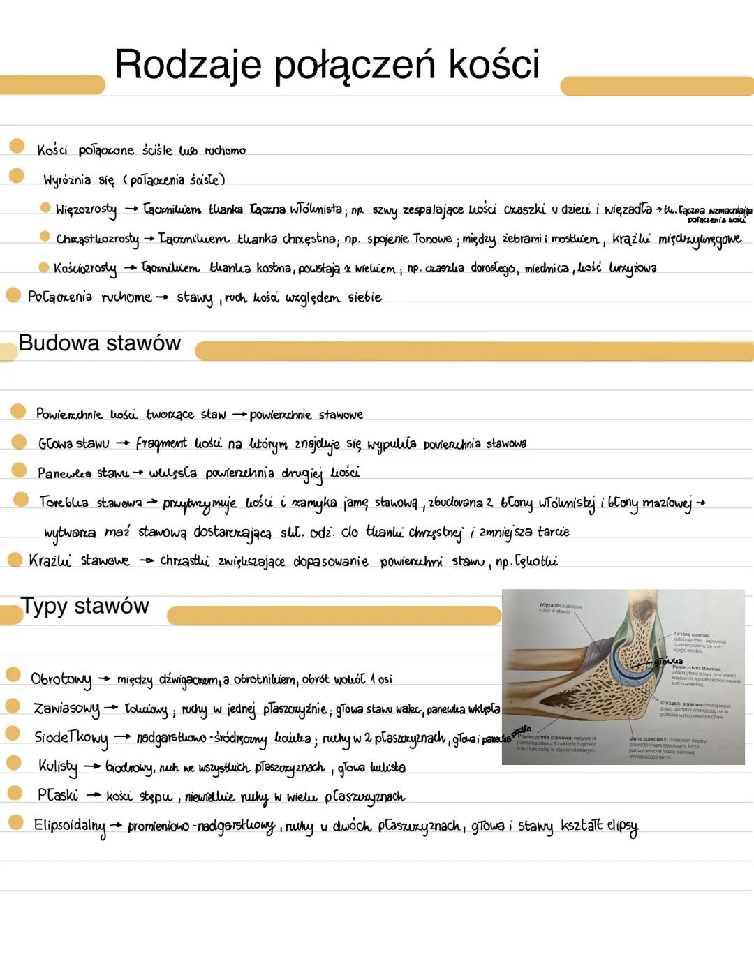 Rodzaje połączeń kości
Kości połączone ściśle lub ruchomo
Wyróżnia się połączenia ścisłe)
połączenia kości
Więzozrosty →Tackniluiem thanka T