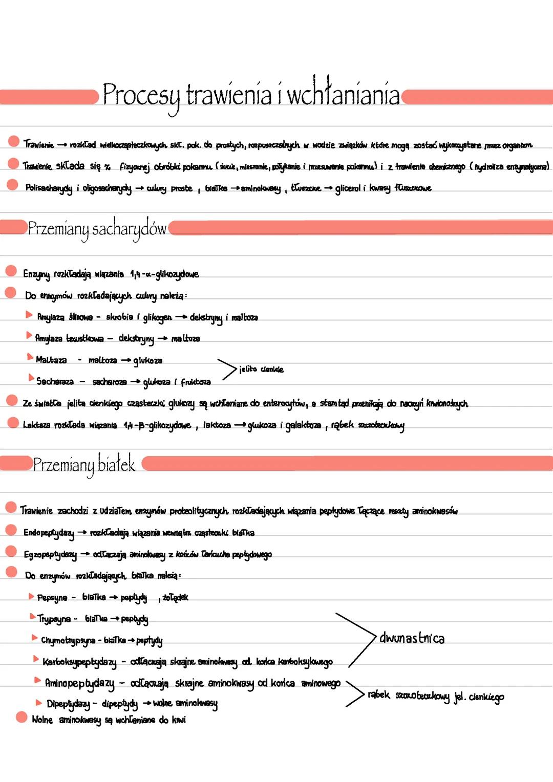 Procesy trawienia i wchłaniania