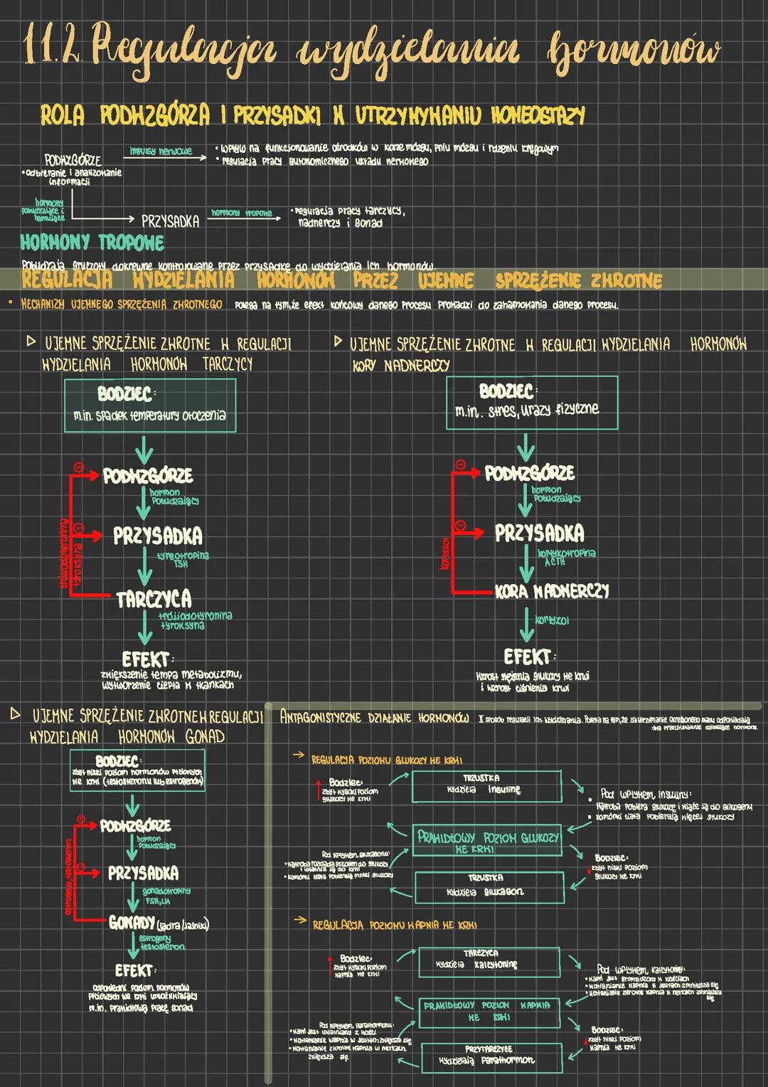11.2 Regulacja wydzielania hormonów