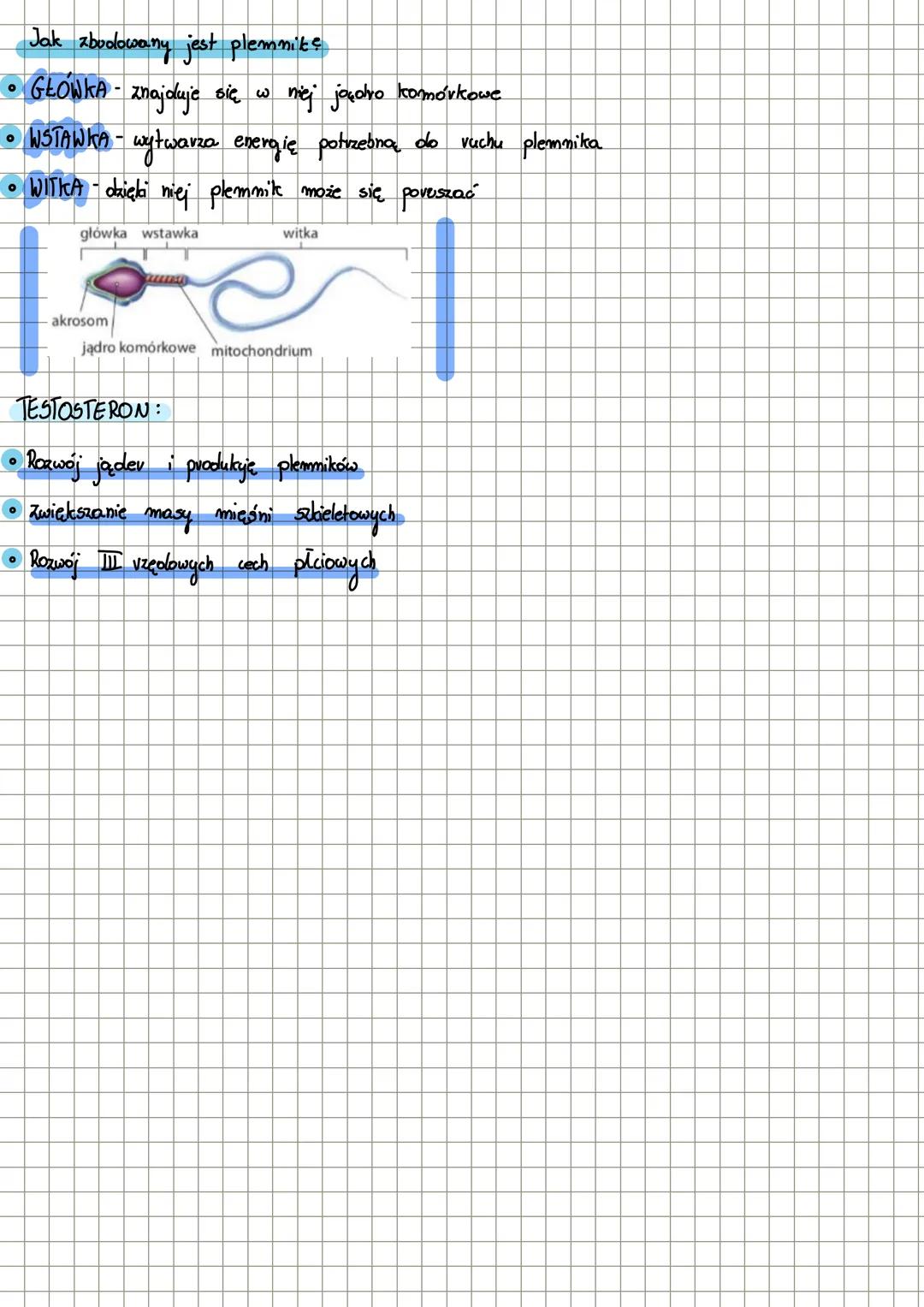 Temat: Męski układ
Vozvodkry
Lekcja
Funkyje męskiego układu vozrodczego:
• Wytwarzanie plemnikóws
• Umożliwianie wprowadzenia plemników do ż