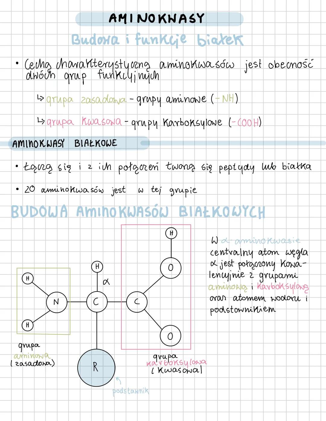 # AMINOKNASY
Budora i funkcje białek
• Cechą charakterystyang aminokwasów jest obecność
dwóch grup funkcyjnych
$
\longrightarrow$ grupa z