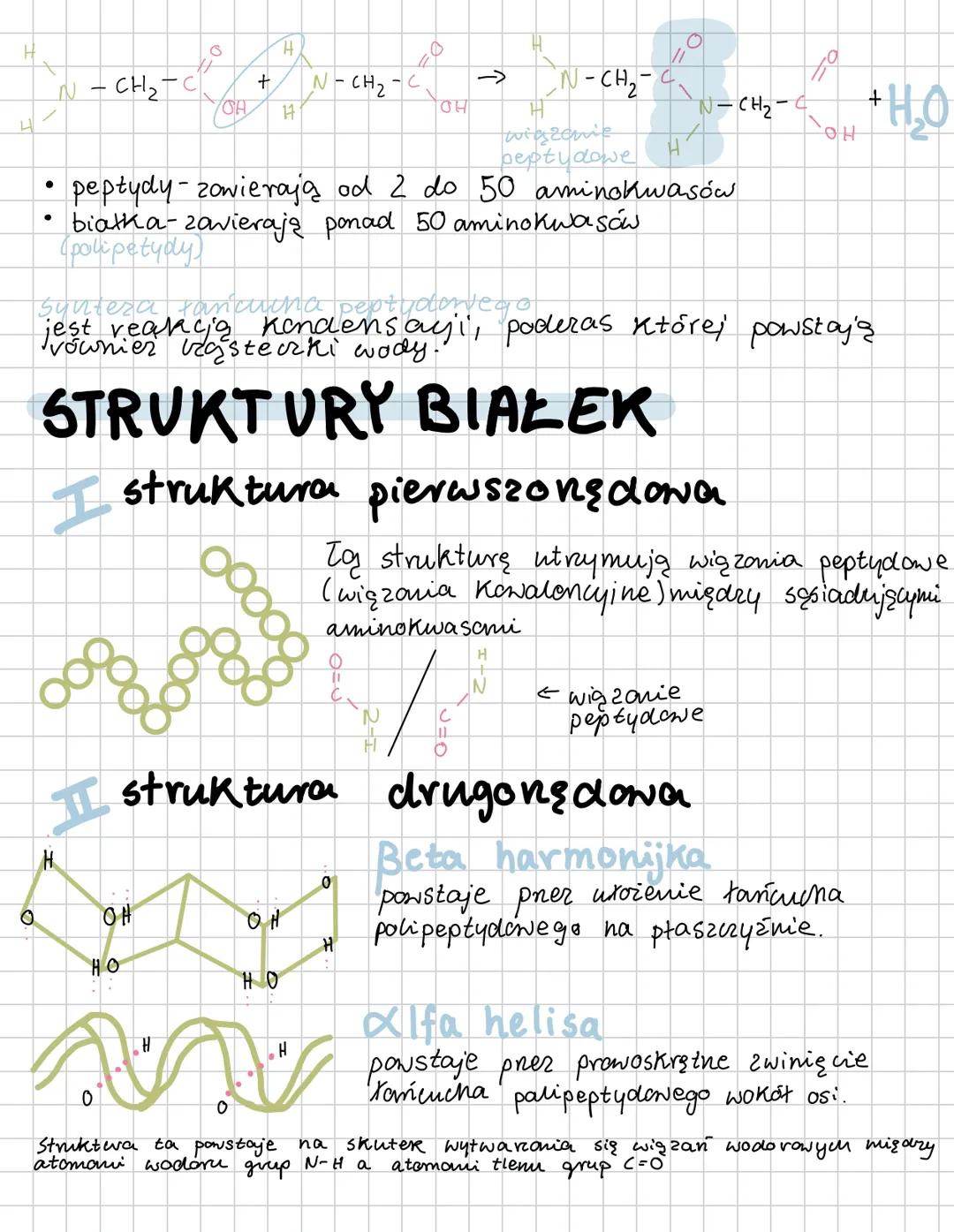 # AMINOKNASY
Budora i funkcje białek
• Cechą charakterystyang aminokwasów jest obecność
dwóch grup funkcyjnych
$
\longrightarrow$ grupa z
