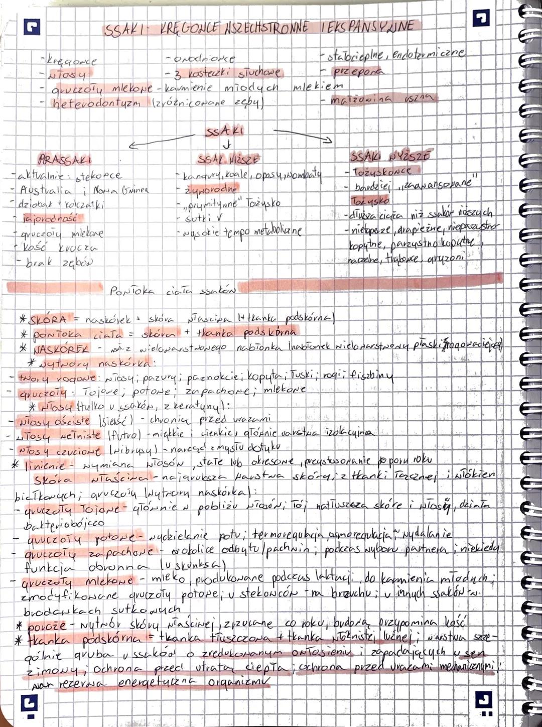 L
G
- kręconce
-NTOSY
SSAKI KREGONCE NSZECHSTRONNE TEKS PANSYLINE
-orodniorce
- 3 kosteczki słuchowe
gruczoły mlekowe - kavmienie miodych
he