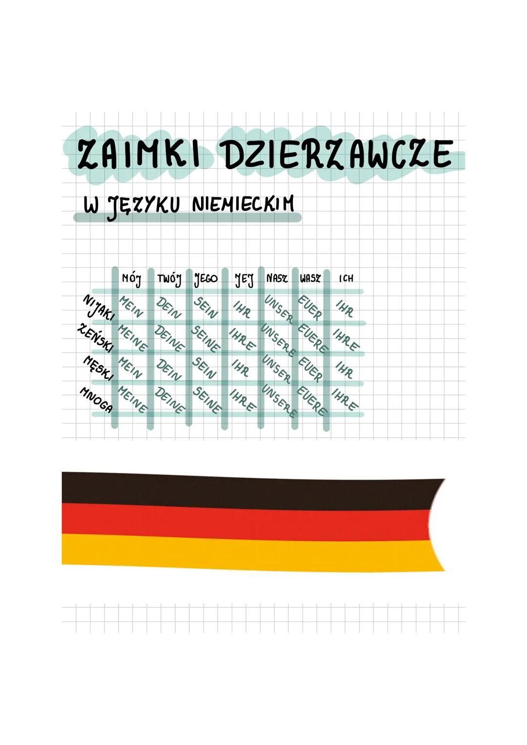 ZAIMKI DZIERZAWCZE
W JĘZYKU NIEMIECKIM
NÓJ TWÓJ JEGO YEJ NASZ WASZ ICH
NIJAKI MEIN DEIN SEIN IHR UNSER EUER IHR
ZEŃSKI MEINE DEINE SEINE IH