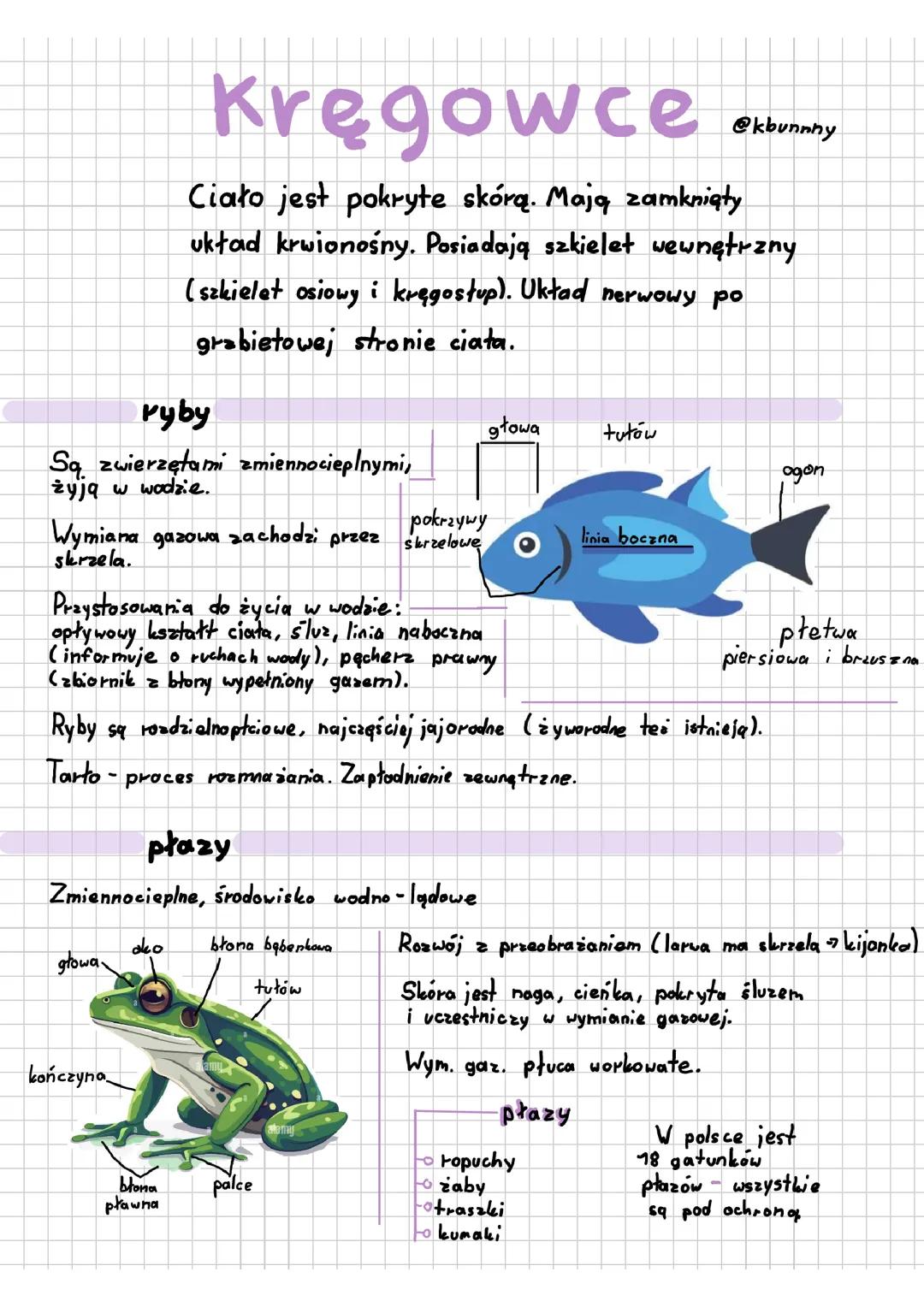 Kręgowce (ryby i płazy)