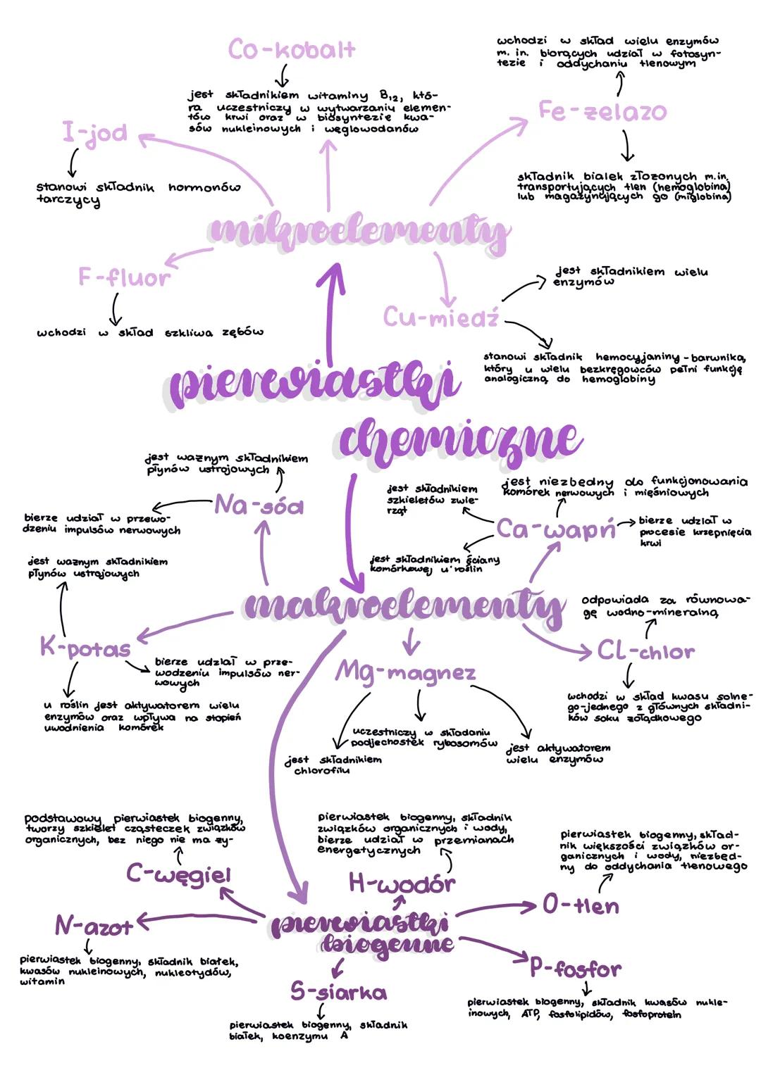 skłael chemiczny
organizmów
H
Na Mg
K Ca
BCNOF
Al Si P S CL
Cr Mn Fe Co
Cu Zn
Se
Mo
Ag Cd
Sn
1
Pt Au
- makroelementy
-mikroelementy
-ultrael