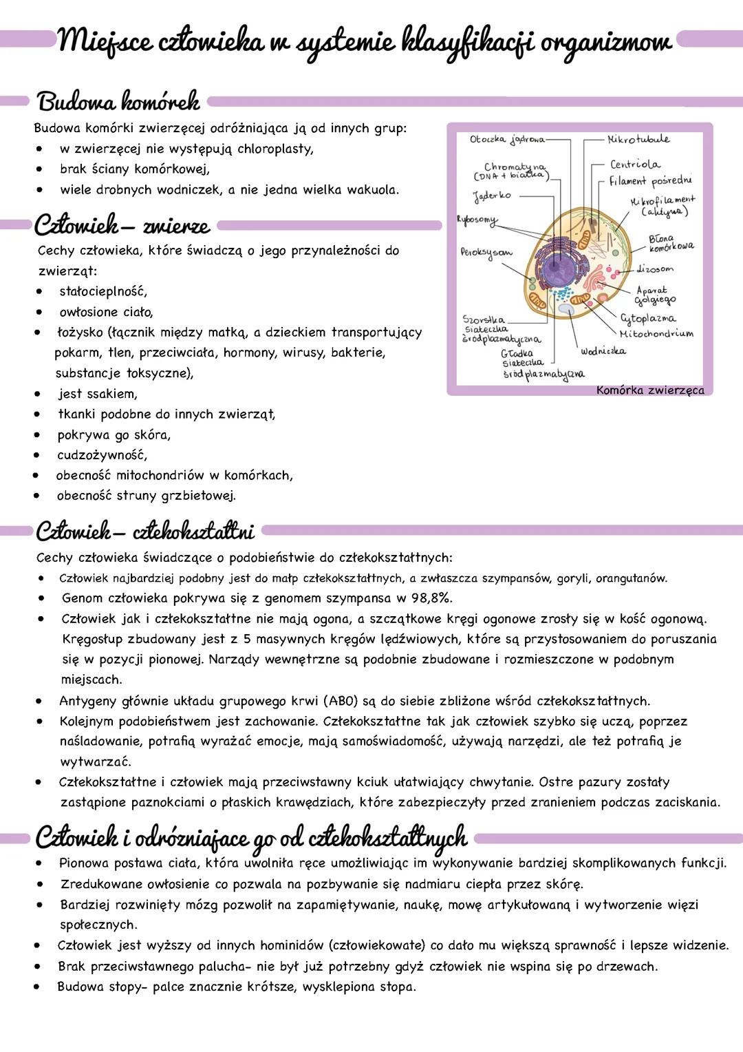 Miejsce człowieka w systemie klasyfikacji organizmów