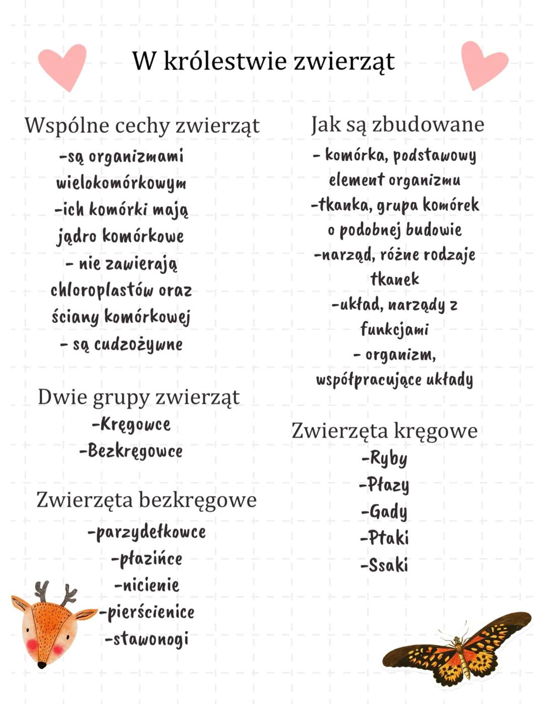 Biologia klasa 6 dział 1 „ W królestwie zwierząt”