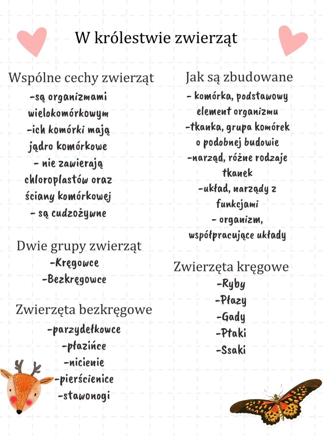 W królestwie zwierząt
Wspólne cechy zwierząt
-są organizmami
wielokomórkowym
-ich komórki mają
jądro komórkowe
- nie zawierają
chloroplastów