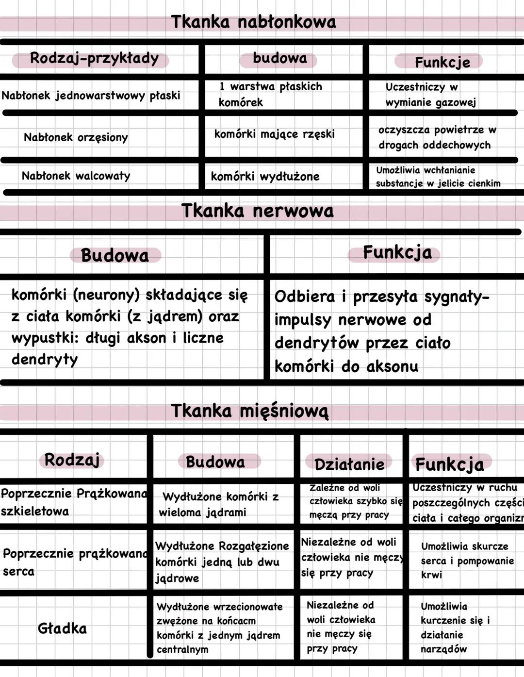 Lekcja
Hierarchiczna budowa organizmu człowieka
budowa organizmu człowieka
V
Organizm & Układ narządów← Narząd← Tkanka< Komórka
Krwionośny
N