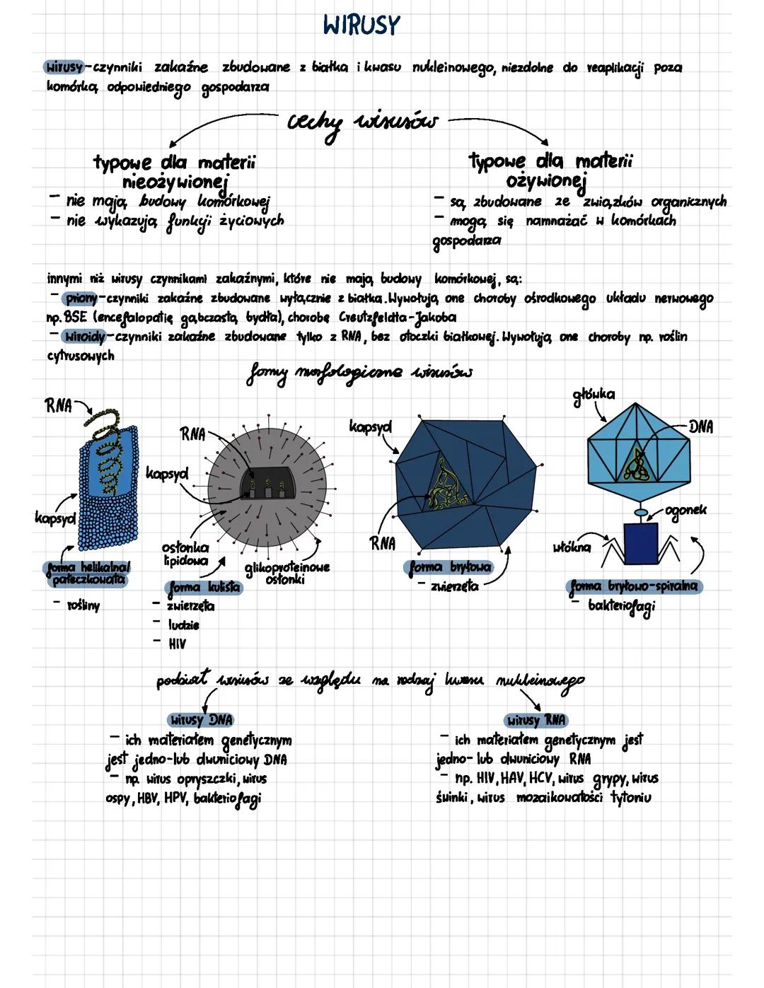 wirusy