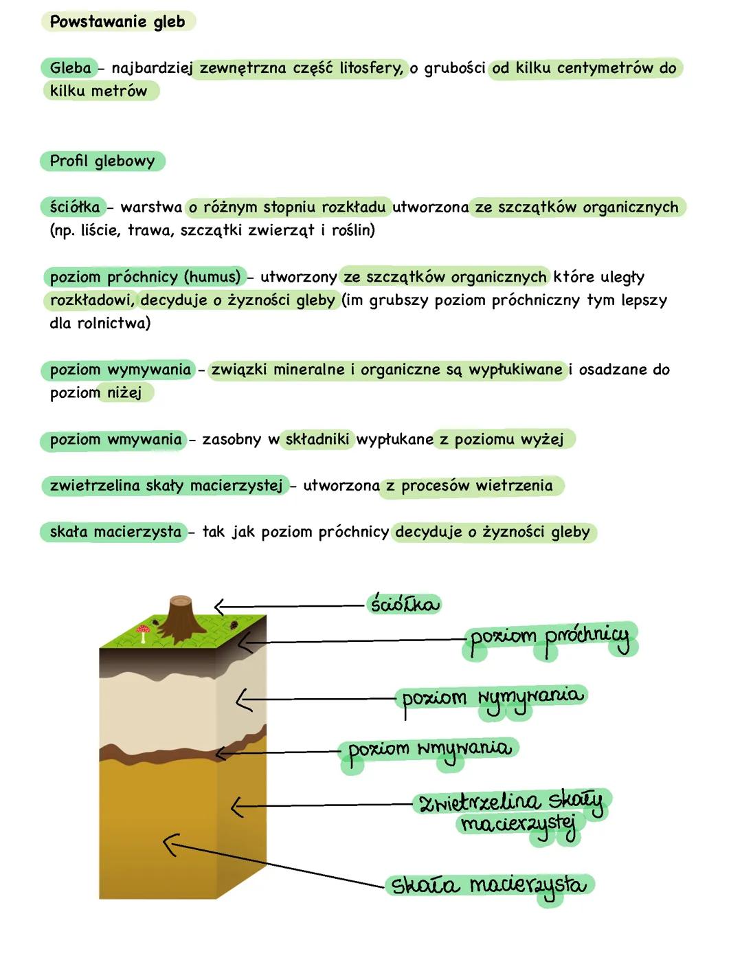Pedosfera i biosfera