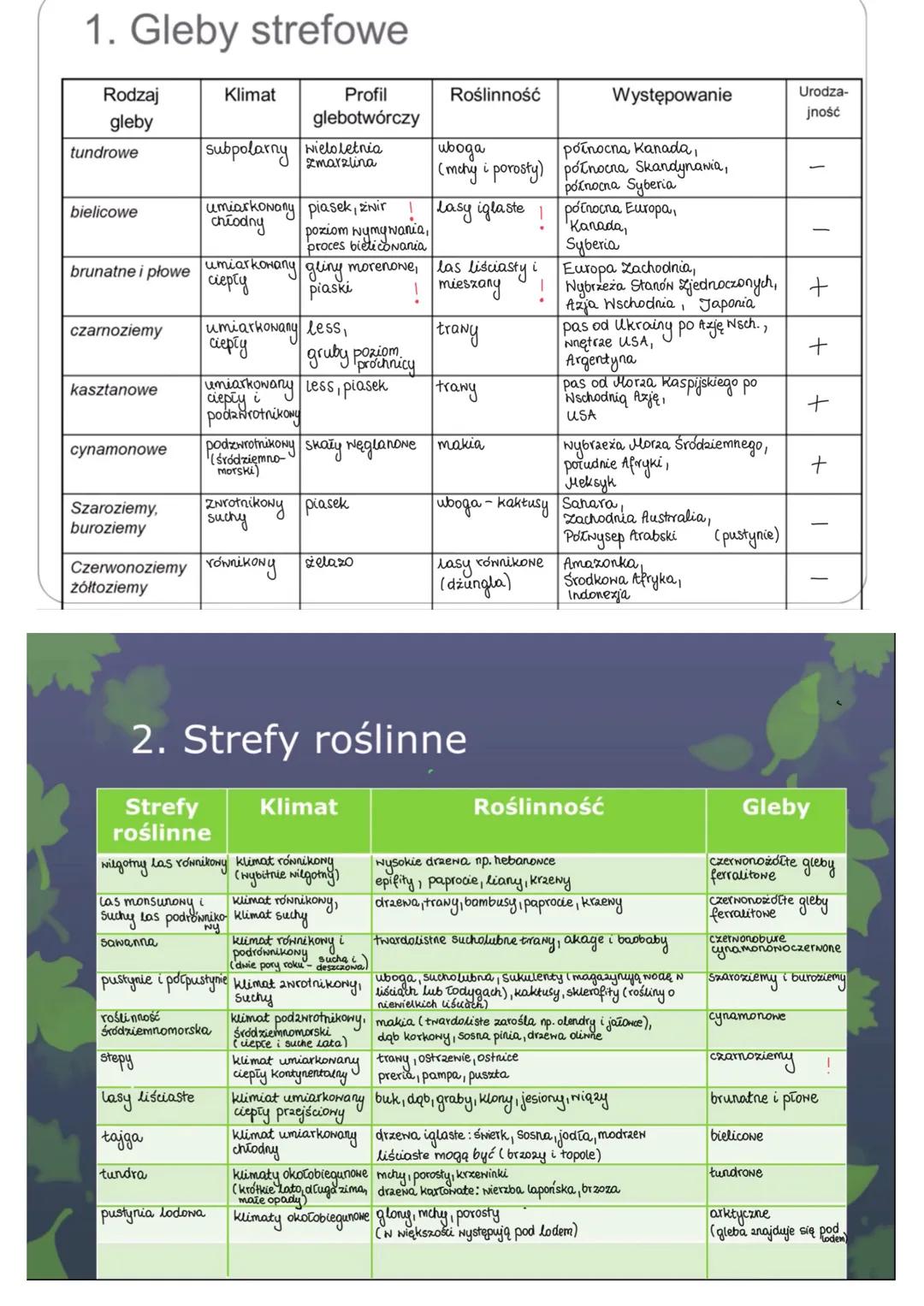 Powstawanie gleb
Gleba - najbardziej zewnętrzna część litosfery, o grubości od kilku centymetrów do
kilku metrów
Profil glebowy
ściółka - wa