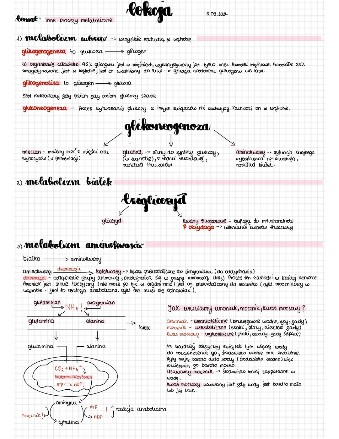 Inne procesy metaboliczne
