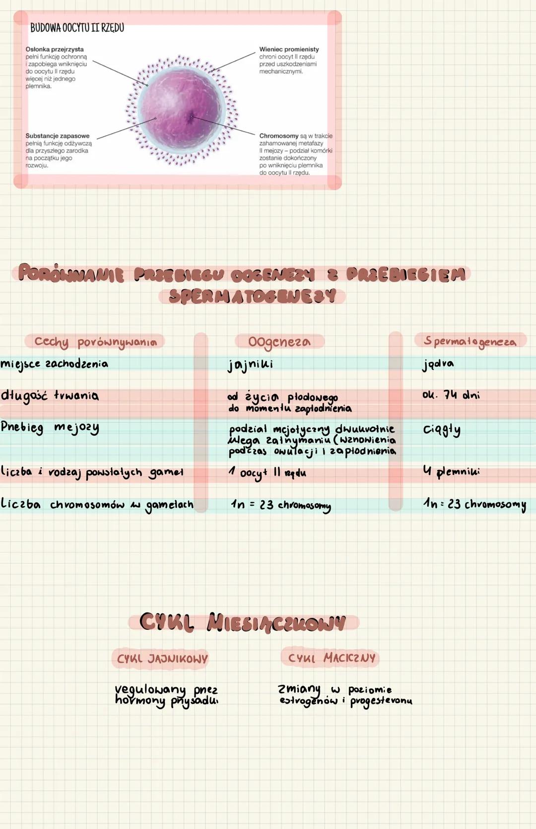 # UKLAD
Męskie cechy piciowe
I reędowe
II reędowe
III reędowe
jadva
drogi wyprowadzające
plemniki
Cechy zewnętrzne
wydzielają
testostero