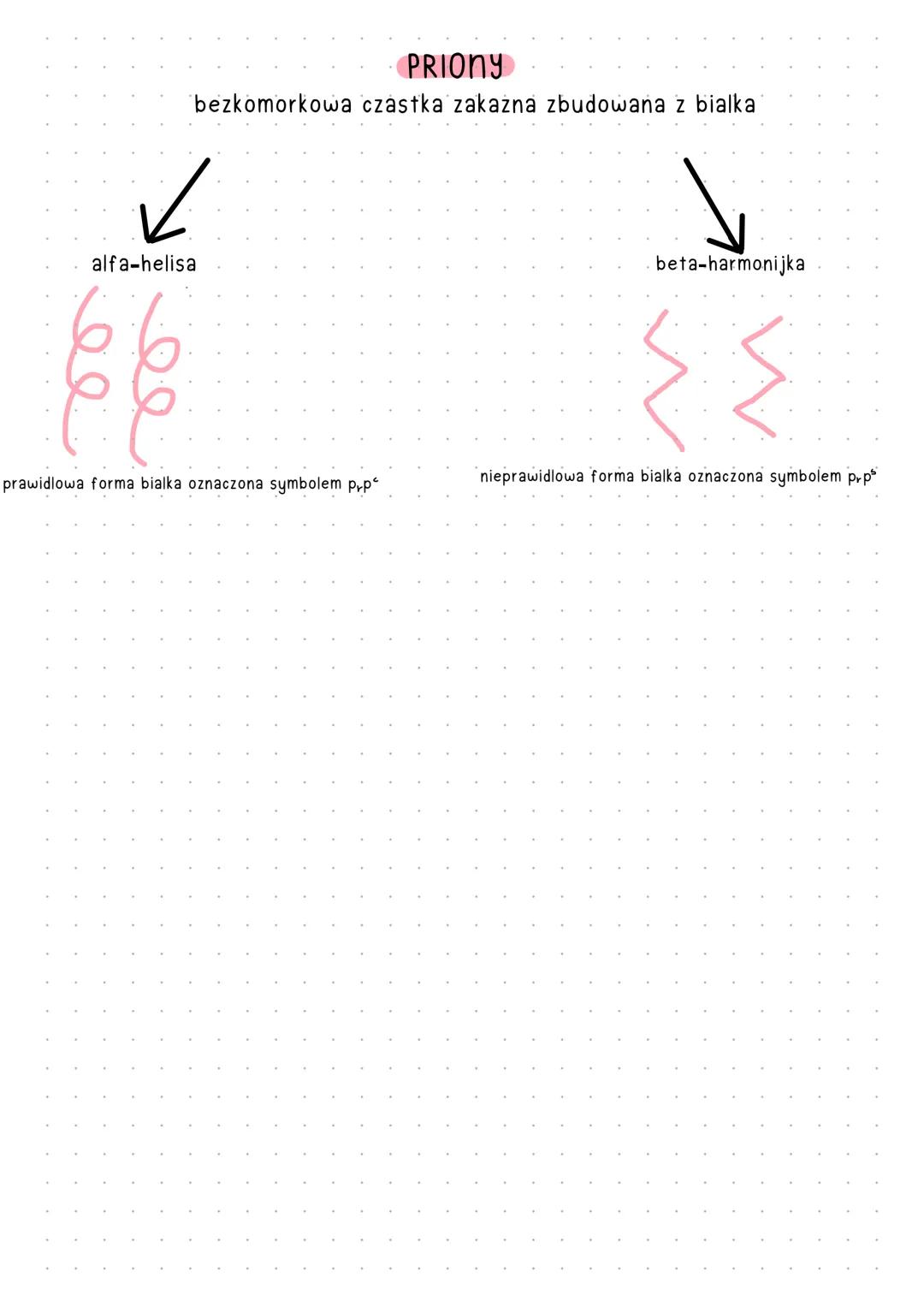 # WIRUSY
to czasteczki organiczne zbudowane z bialka i kwasu nukleinowego, sa one
wewnatrzkomorkowymi pasozytami. Nie sa one organizmami, b