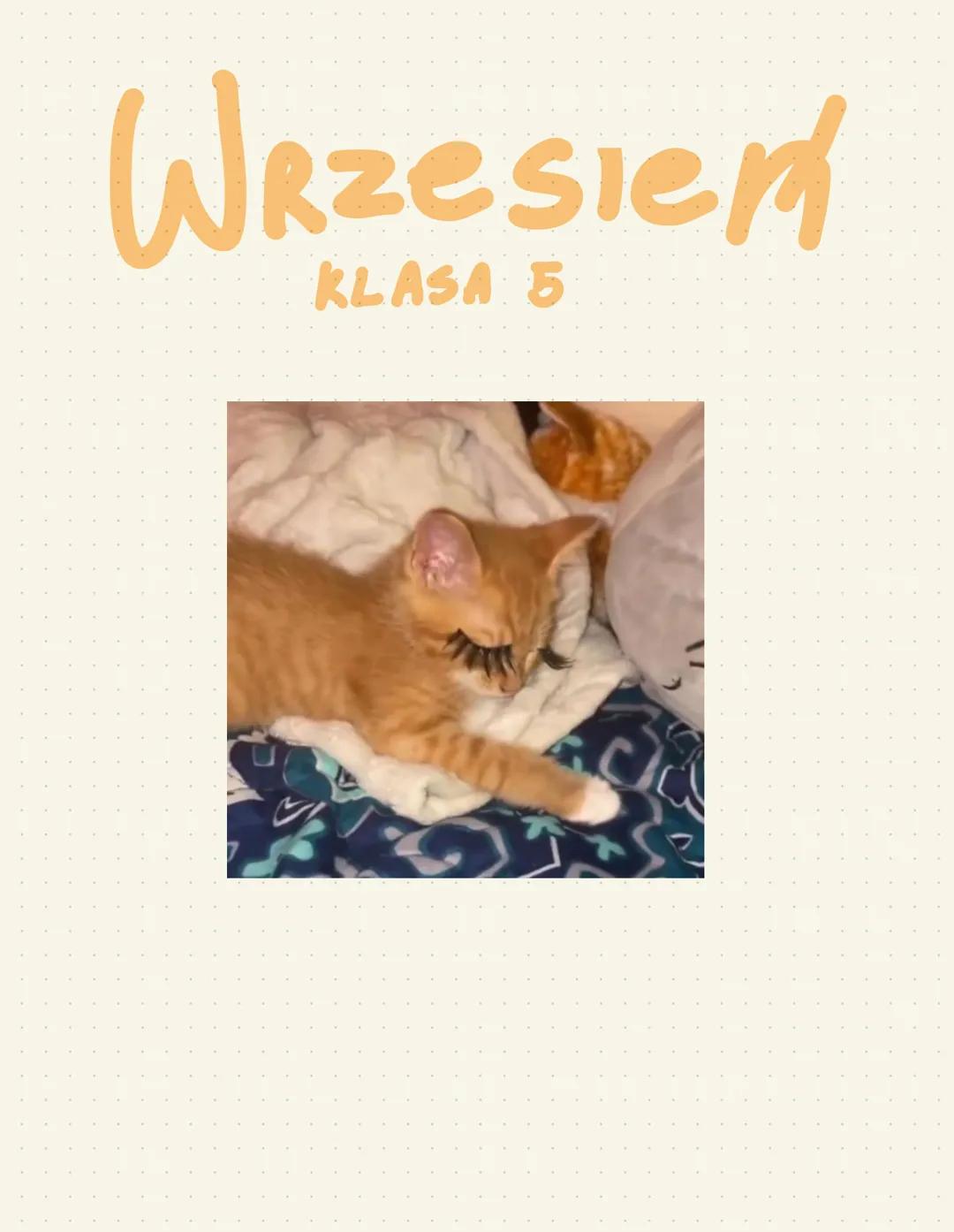 # Wrzesień
KLASA 5 # Biblia
POJĘCIA
Sacrum - wszystko co uważane jest za święte, boskie lub religijne. W
Biblii odnosi się do treści, miej