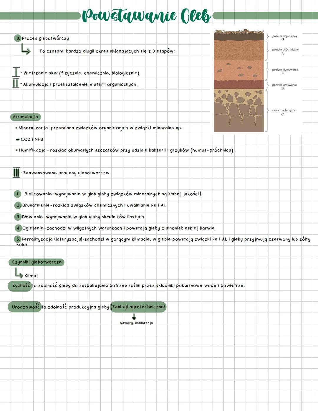 ### Powstawanie Gleb
3. Proces glebotwórczy
يا
To czasami bardzo długii okres składajacych się z 3 etapów;
I
-Wietrzenie skał (fizyczni