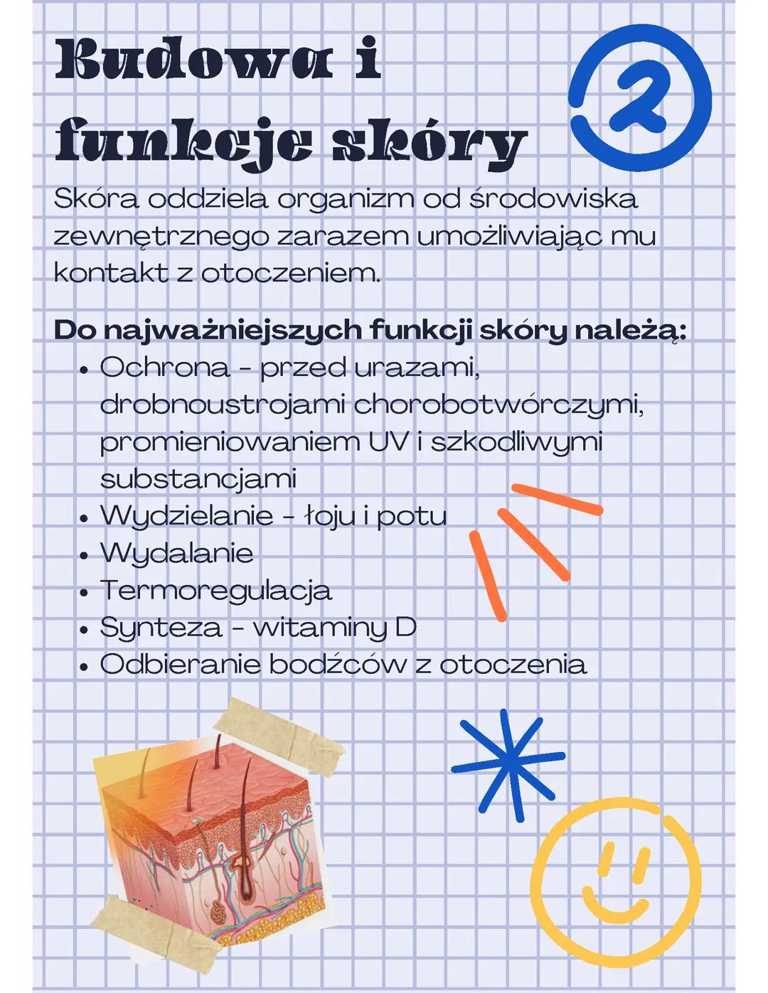 Budowa i funkcje skóry